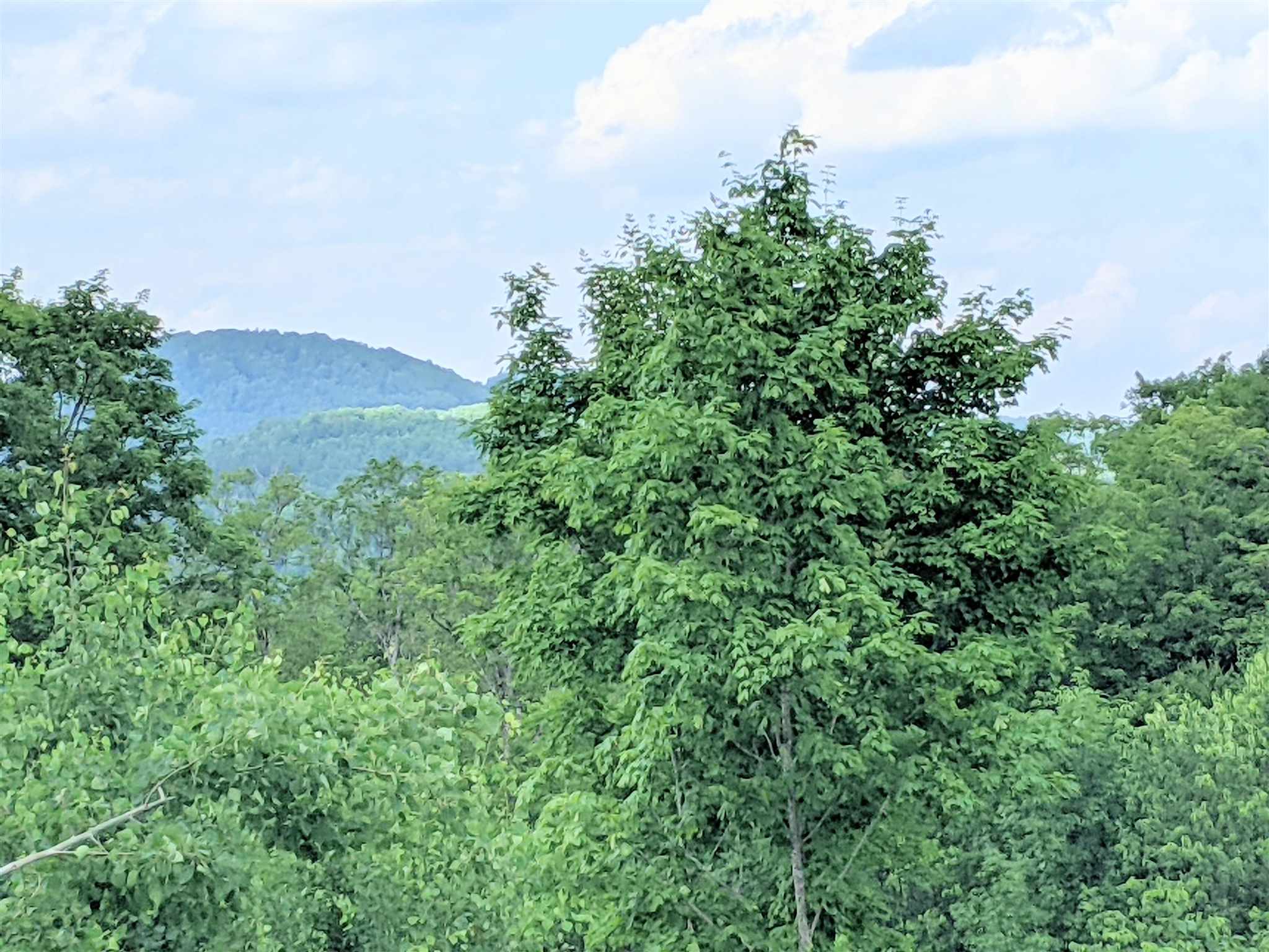 3941 Severance Hill Road Property Photo 6