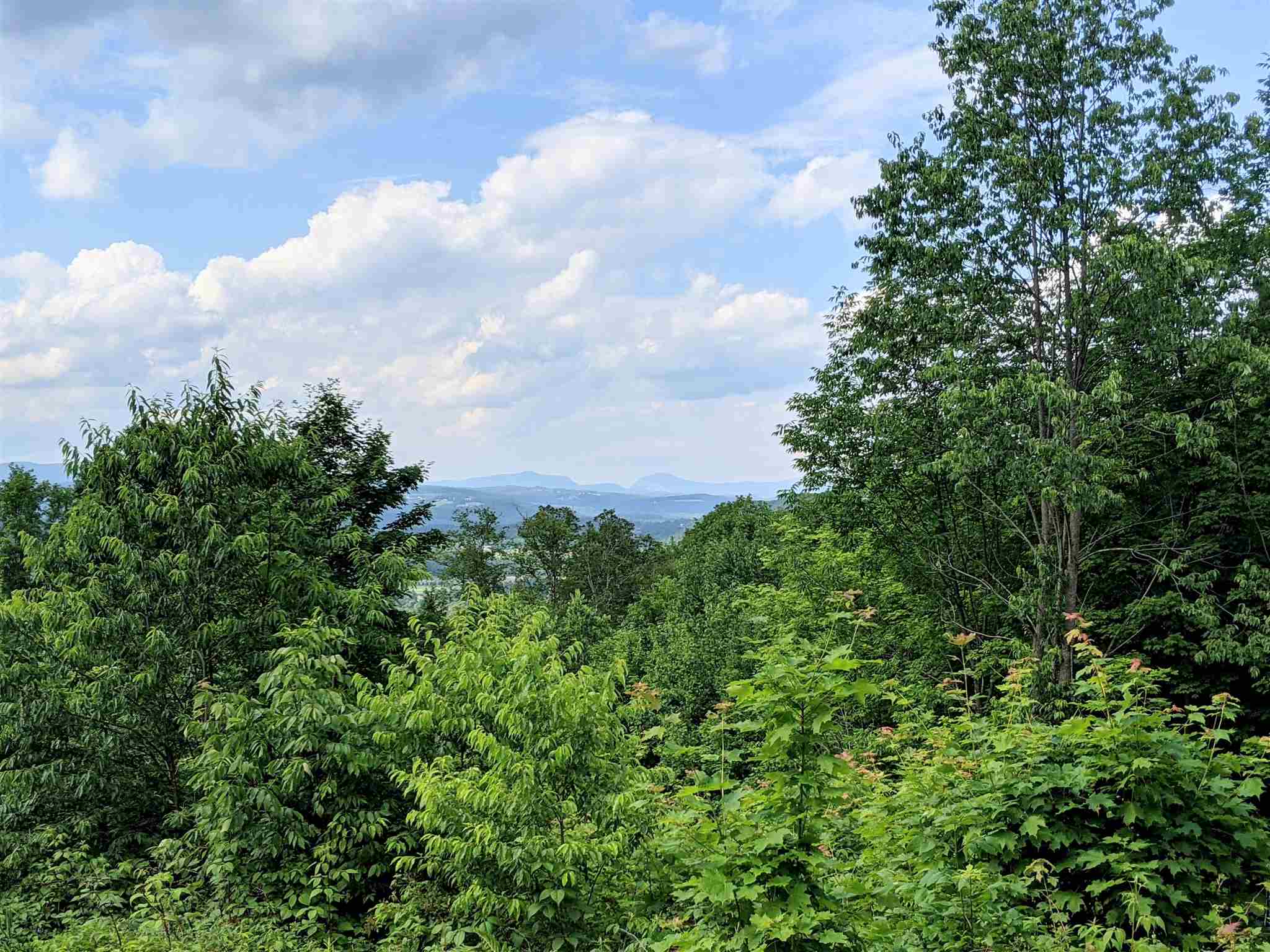 3941 Severance Hill Road Property Photo 11