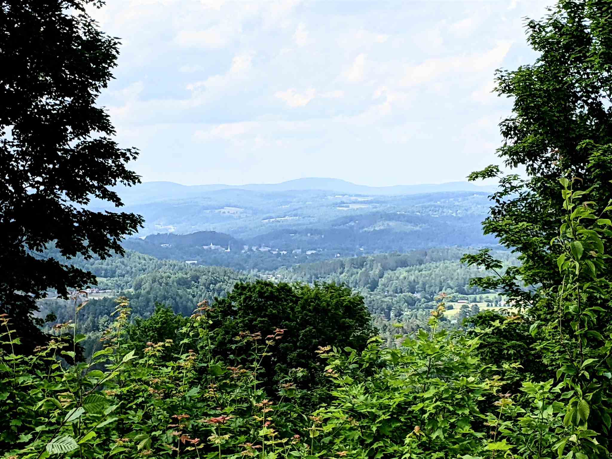 3941 Severance Hill Road Property Photo 15