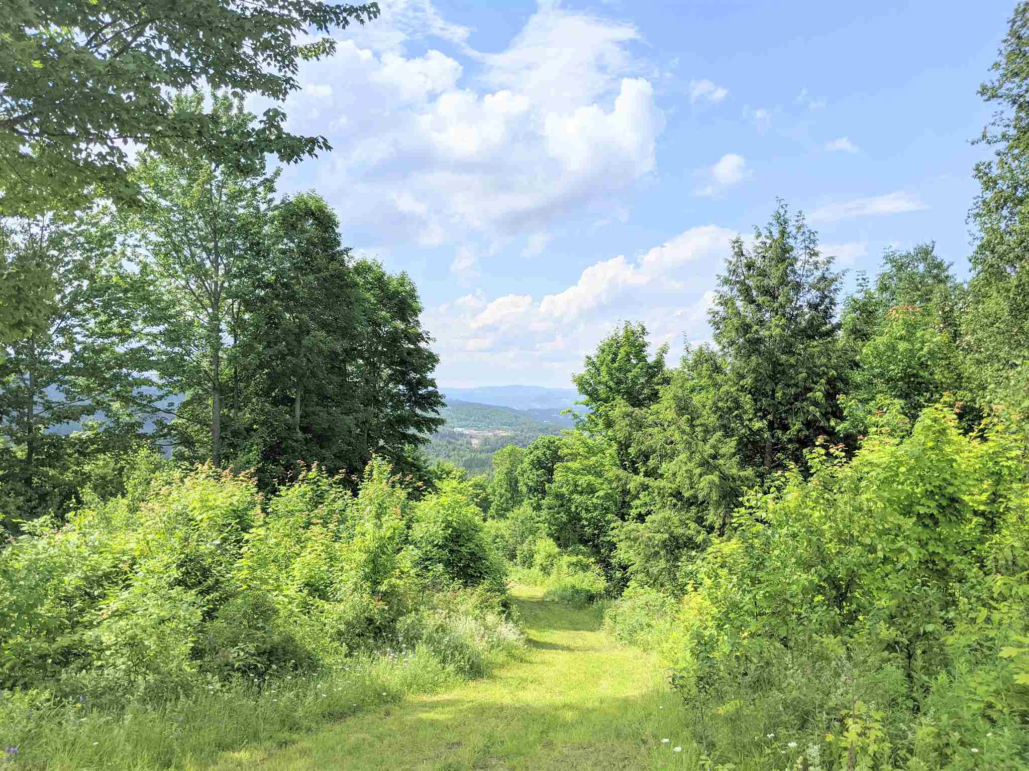 3941 Severance Hill Road Property Photo 17