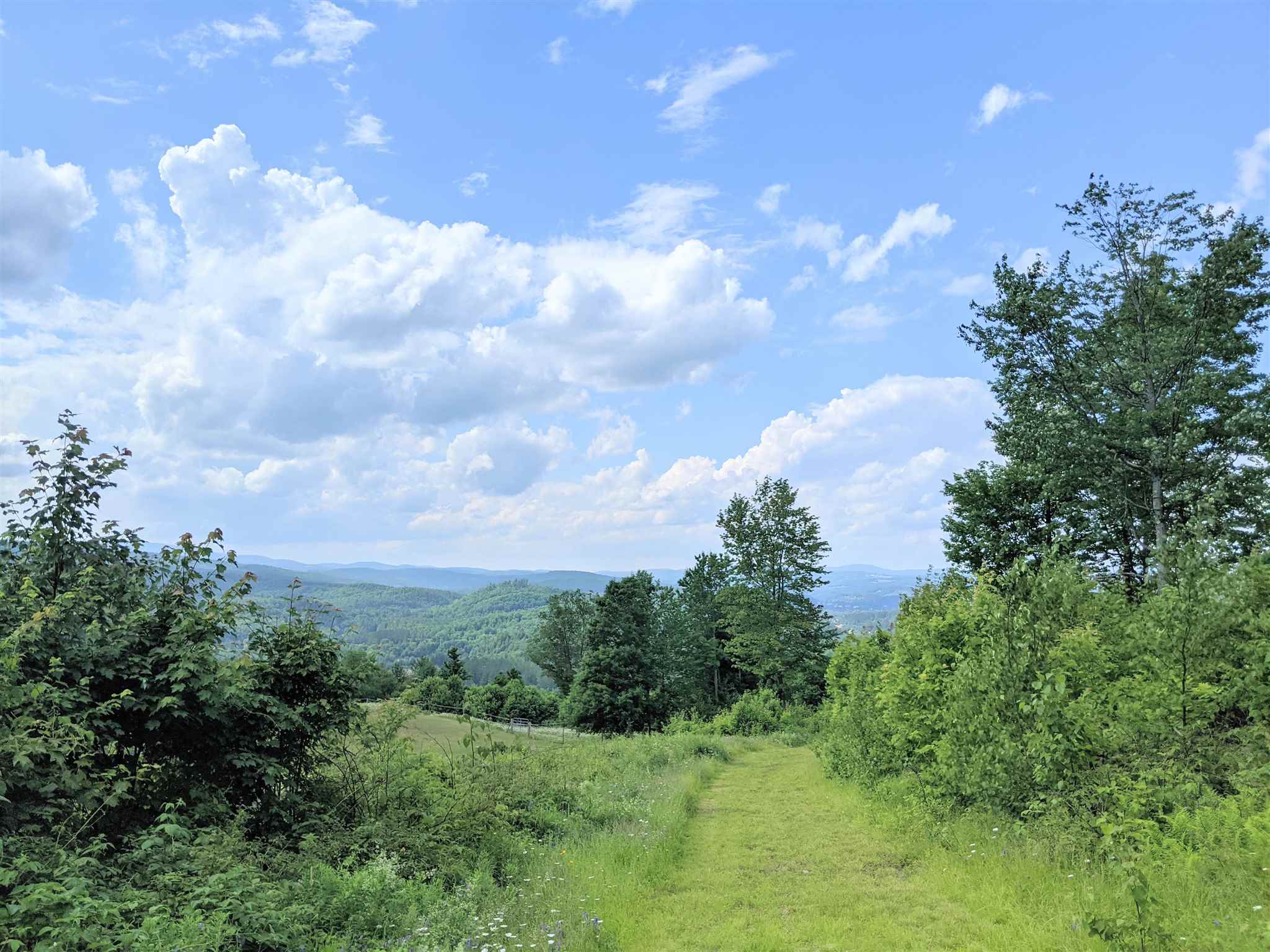 3941 Severance Hill Road Property Photo 18