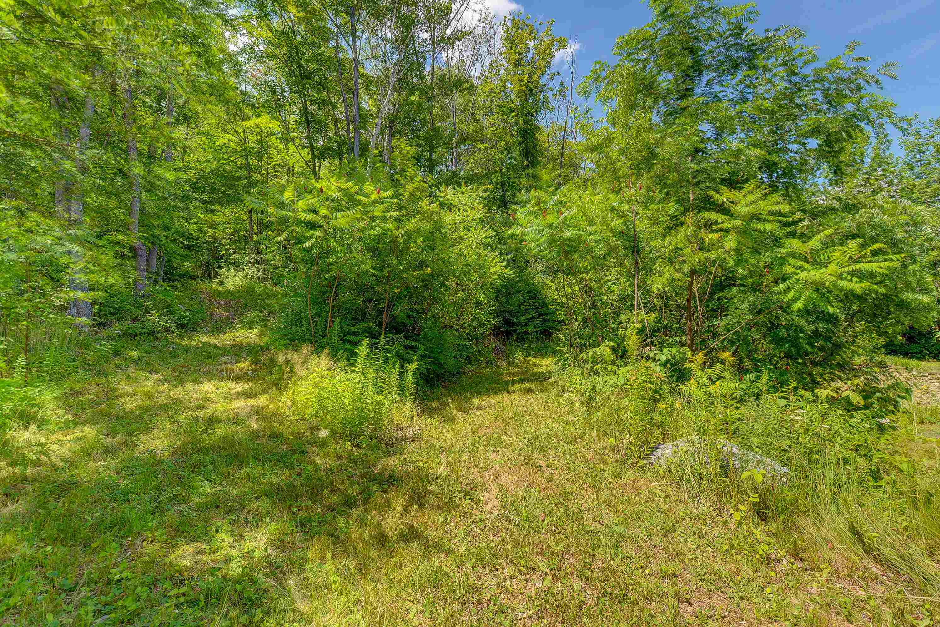 99 Wentworth Avenue Property Photo 39