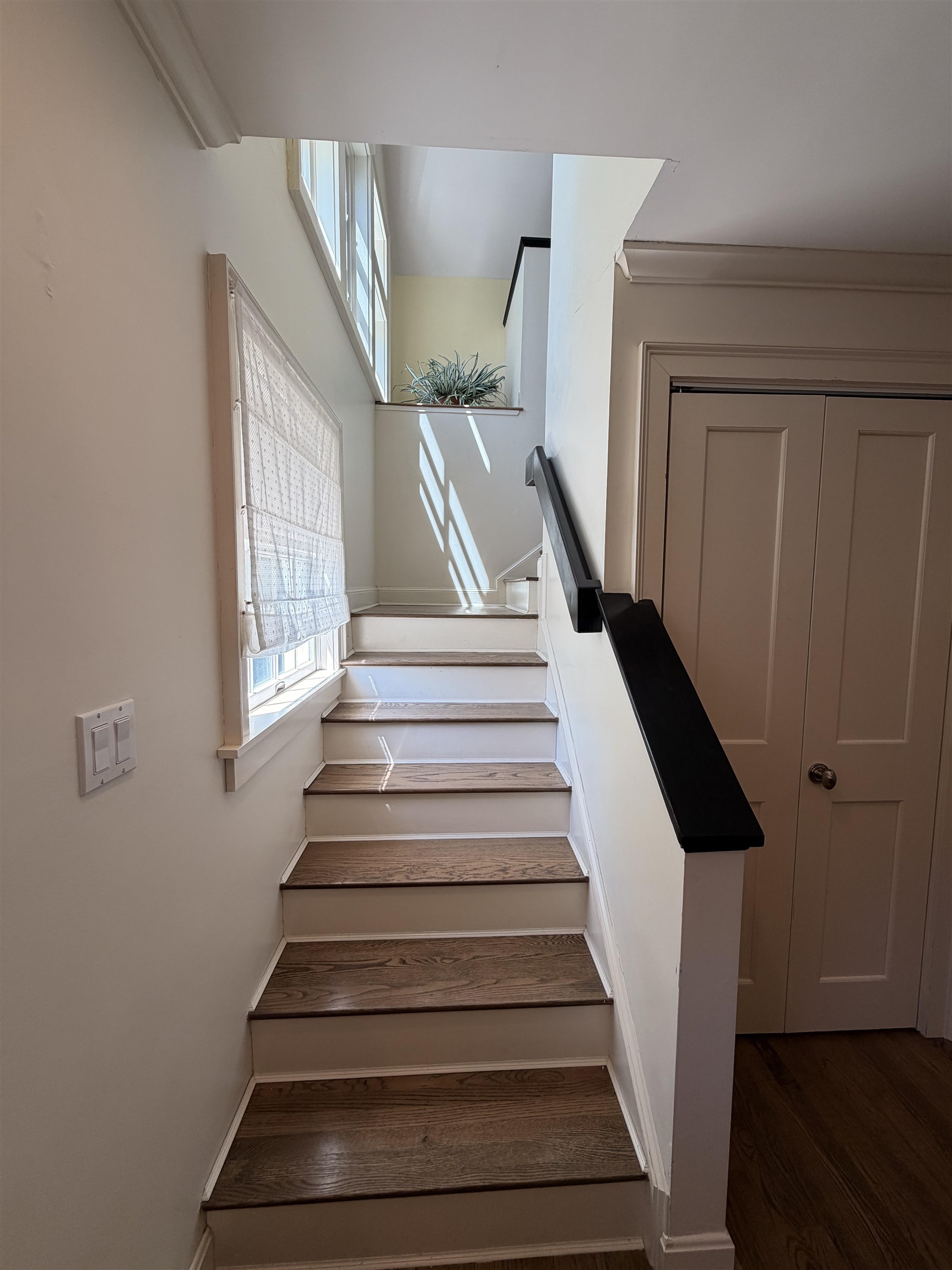 53 Boulder Path Road Property Photo 42
