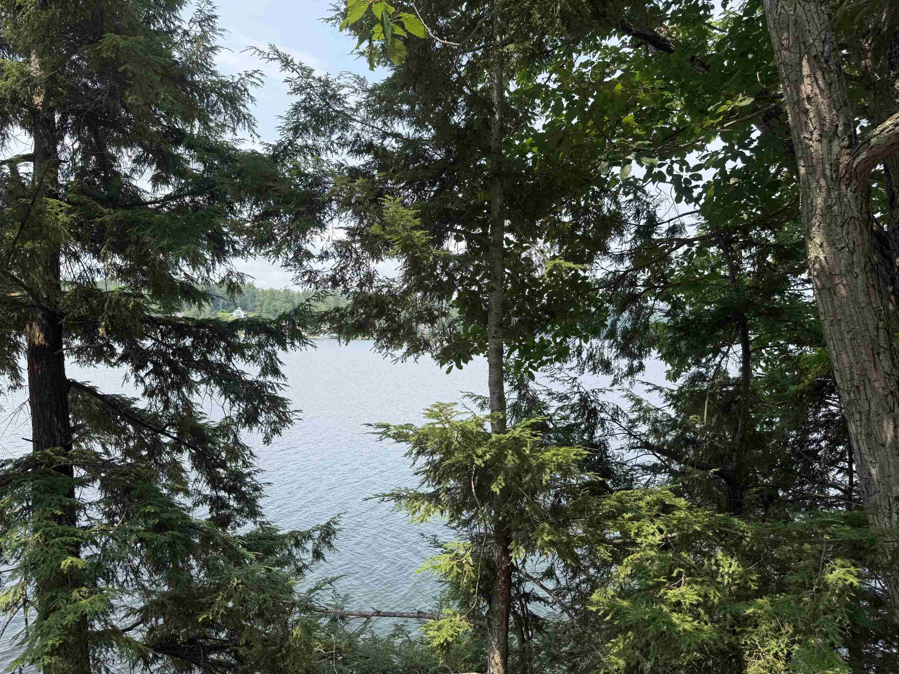 4457 Vt Route 30 Property Photo 21