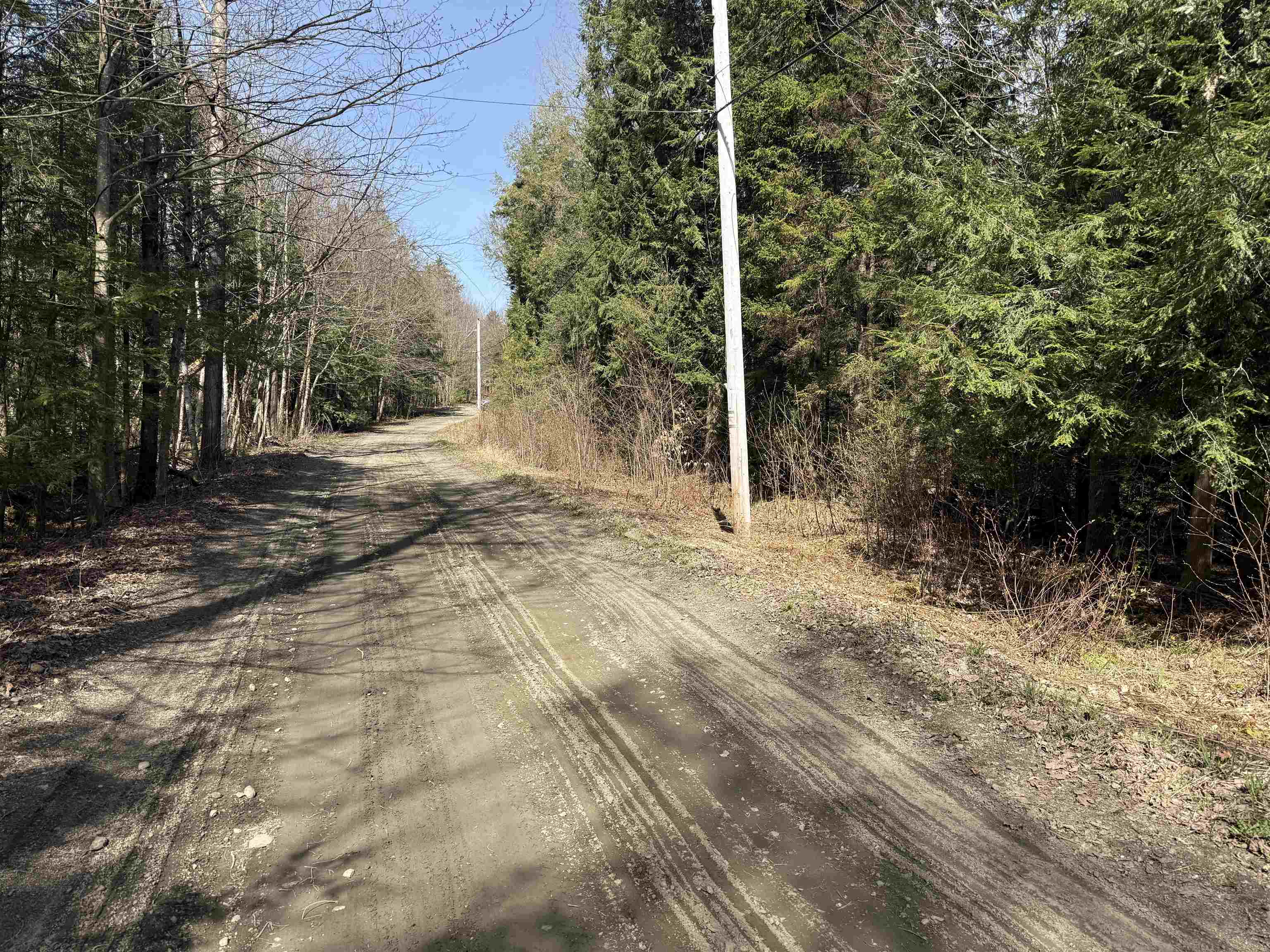 Woods Road Property Photo 1
