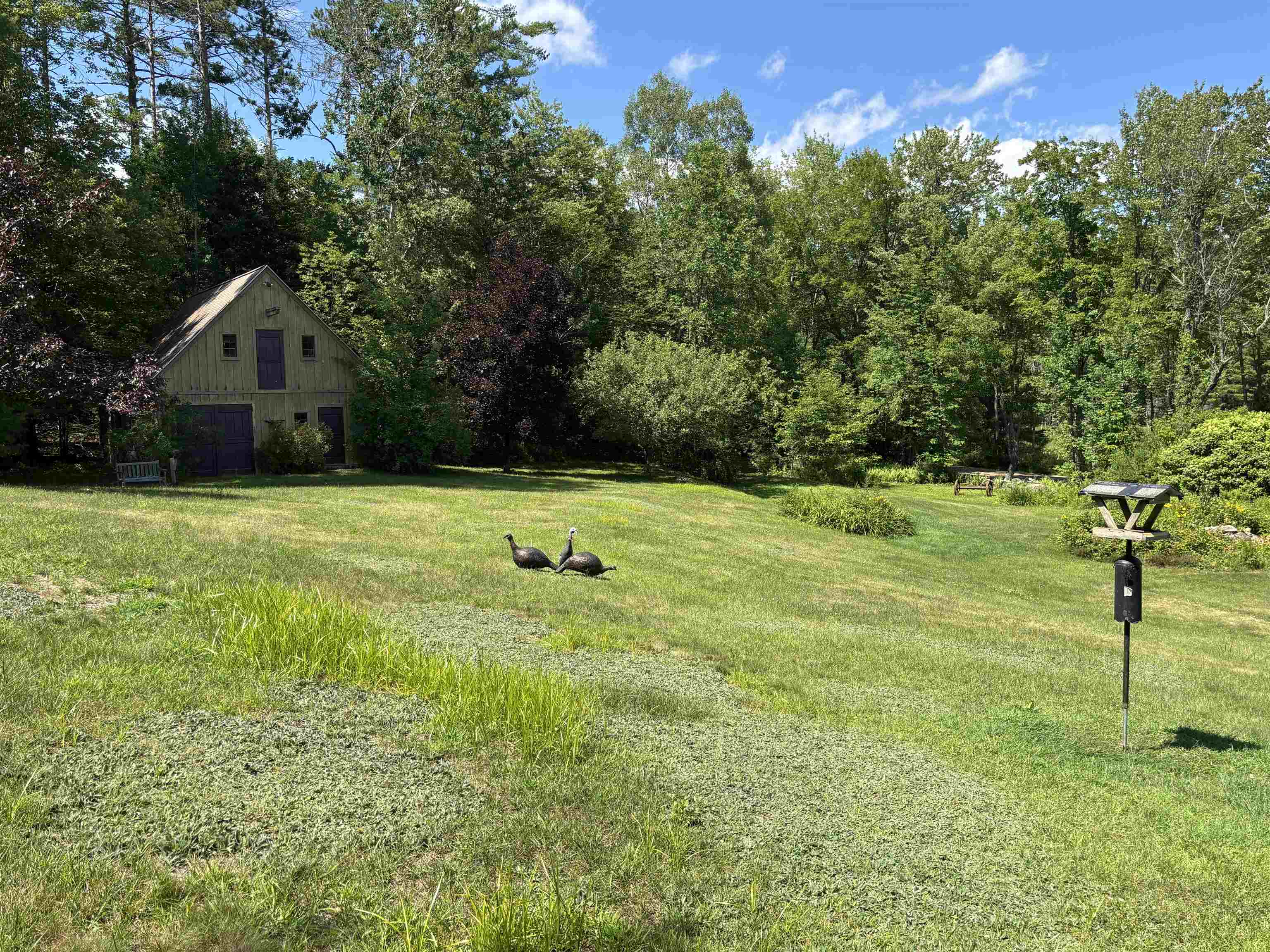 339 Burnham Road Property Photo 15