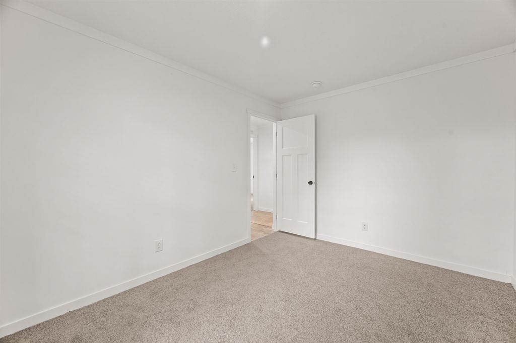 33 Terry Road Property Photo 24