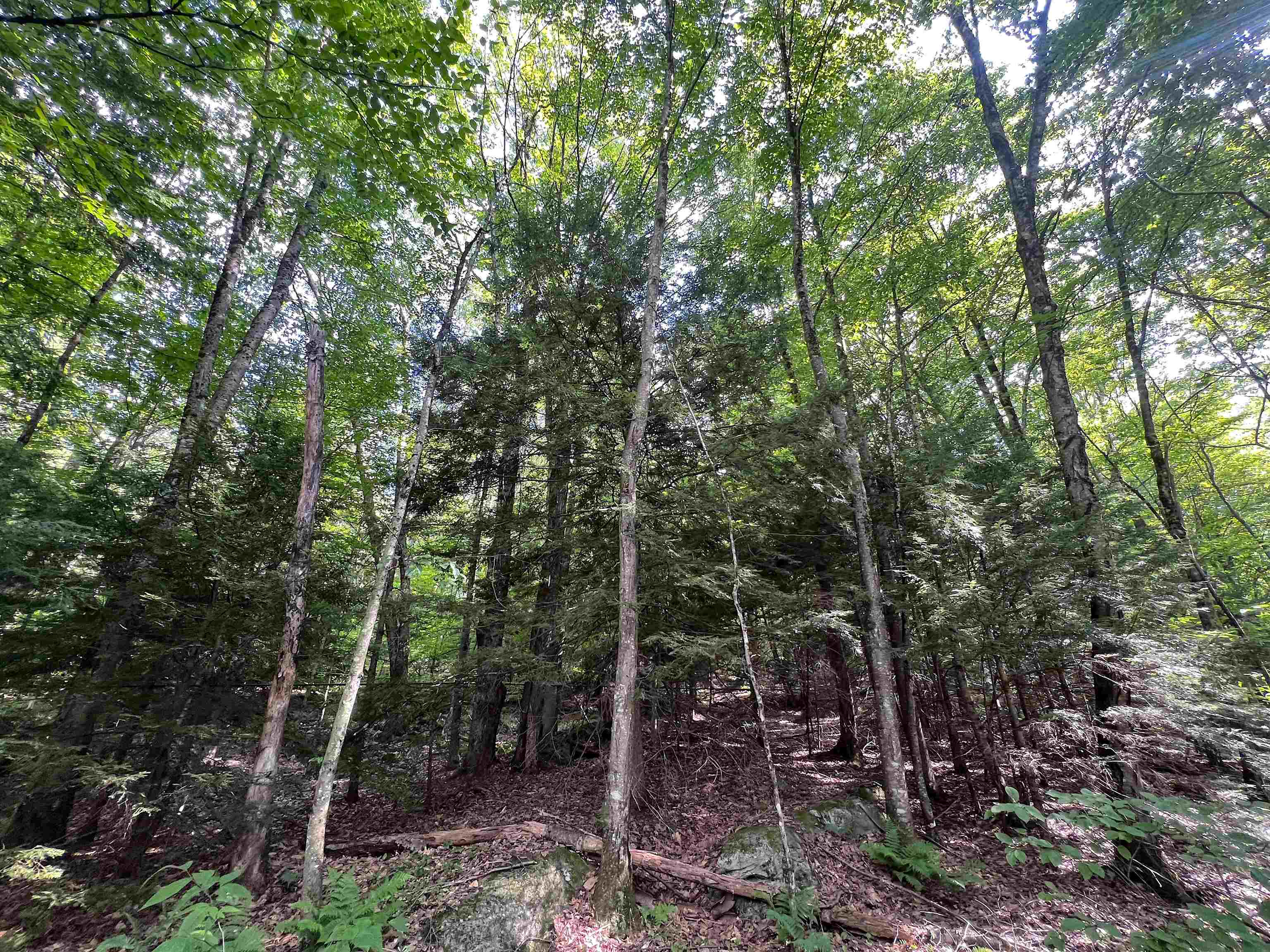 302 Davidson Hill Road Property Photo 29
