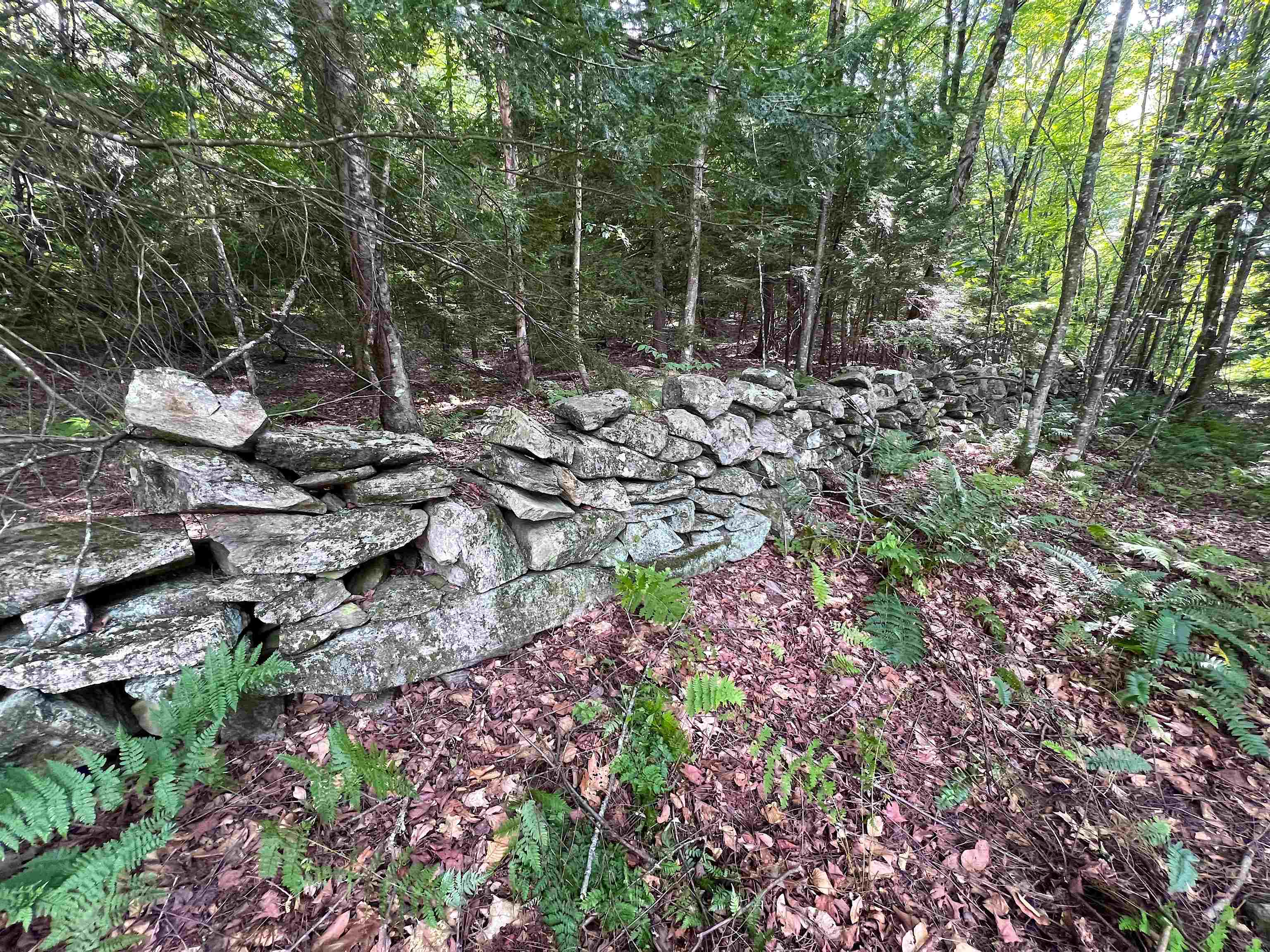 302 Davidson Hill Road Property Photo 30