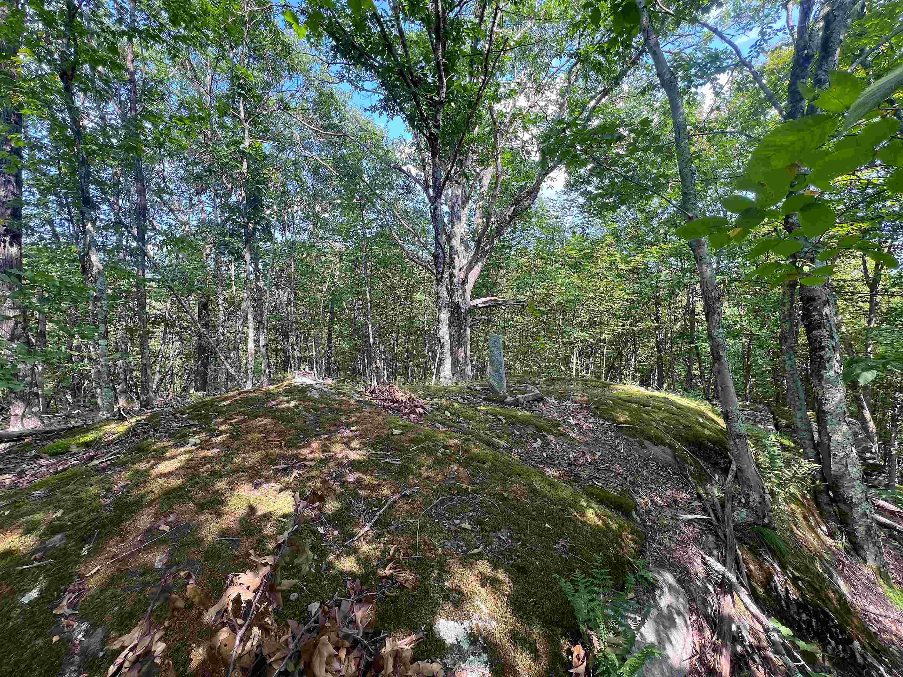 302 Davidson Hill Road Property Photo 34