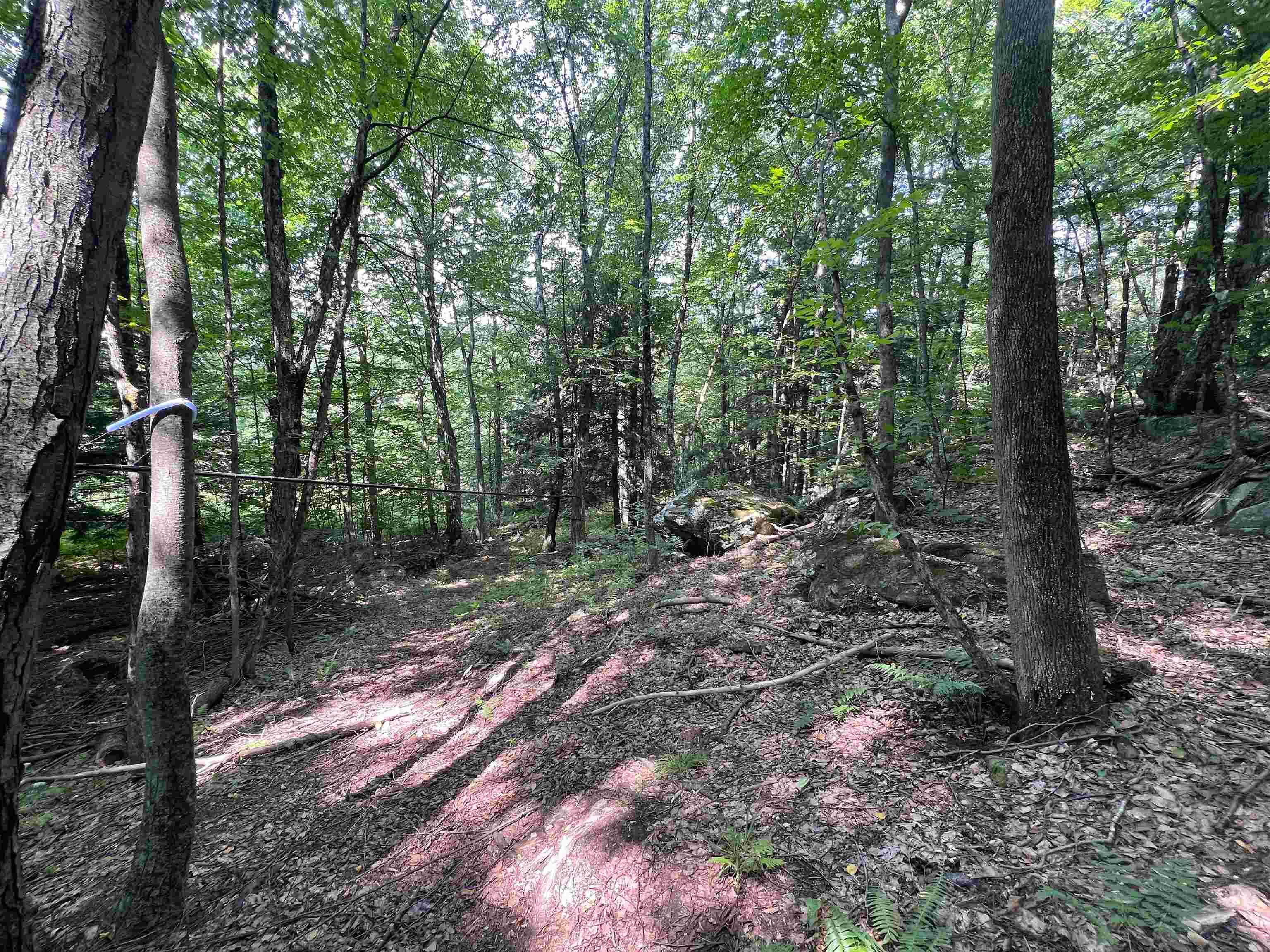 302 Davidson Hill Road Property Photo 37