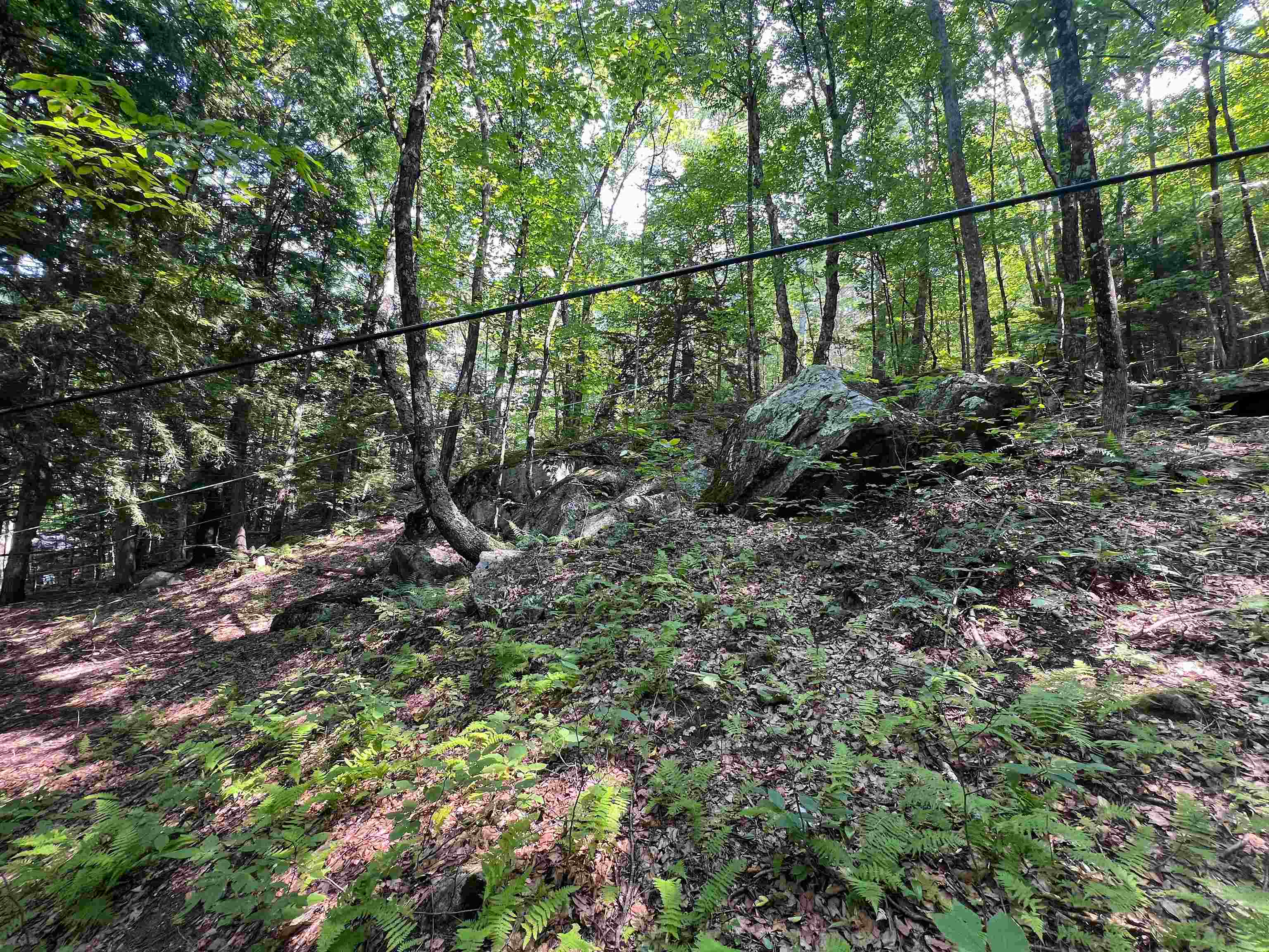 302 Davidson Hill Road Property Photo 38