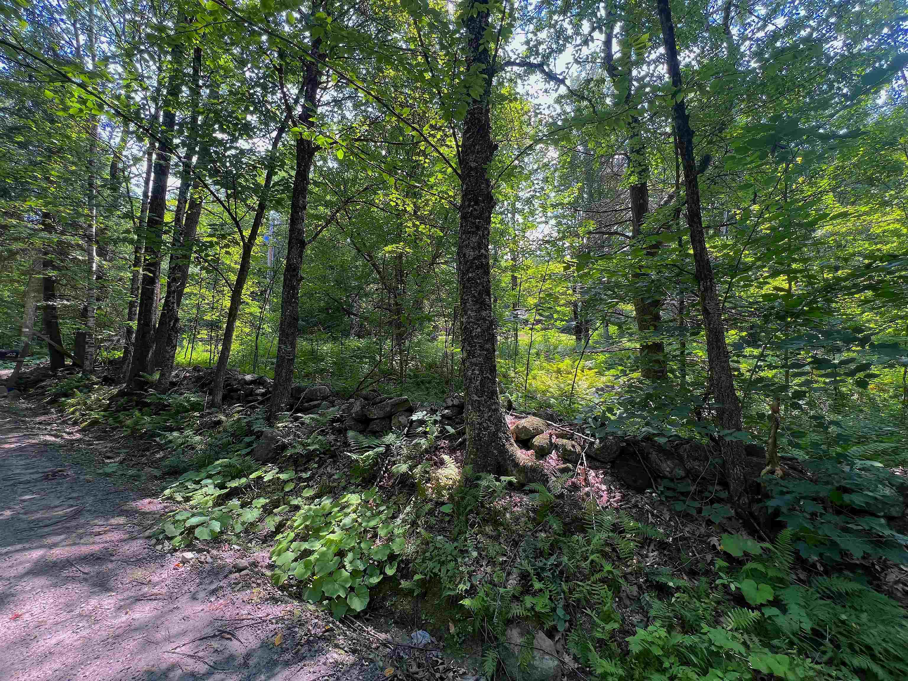 302 Davidson Hill Road Property Photo 40