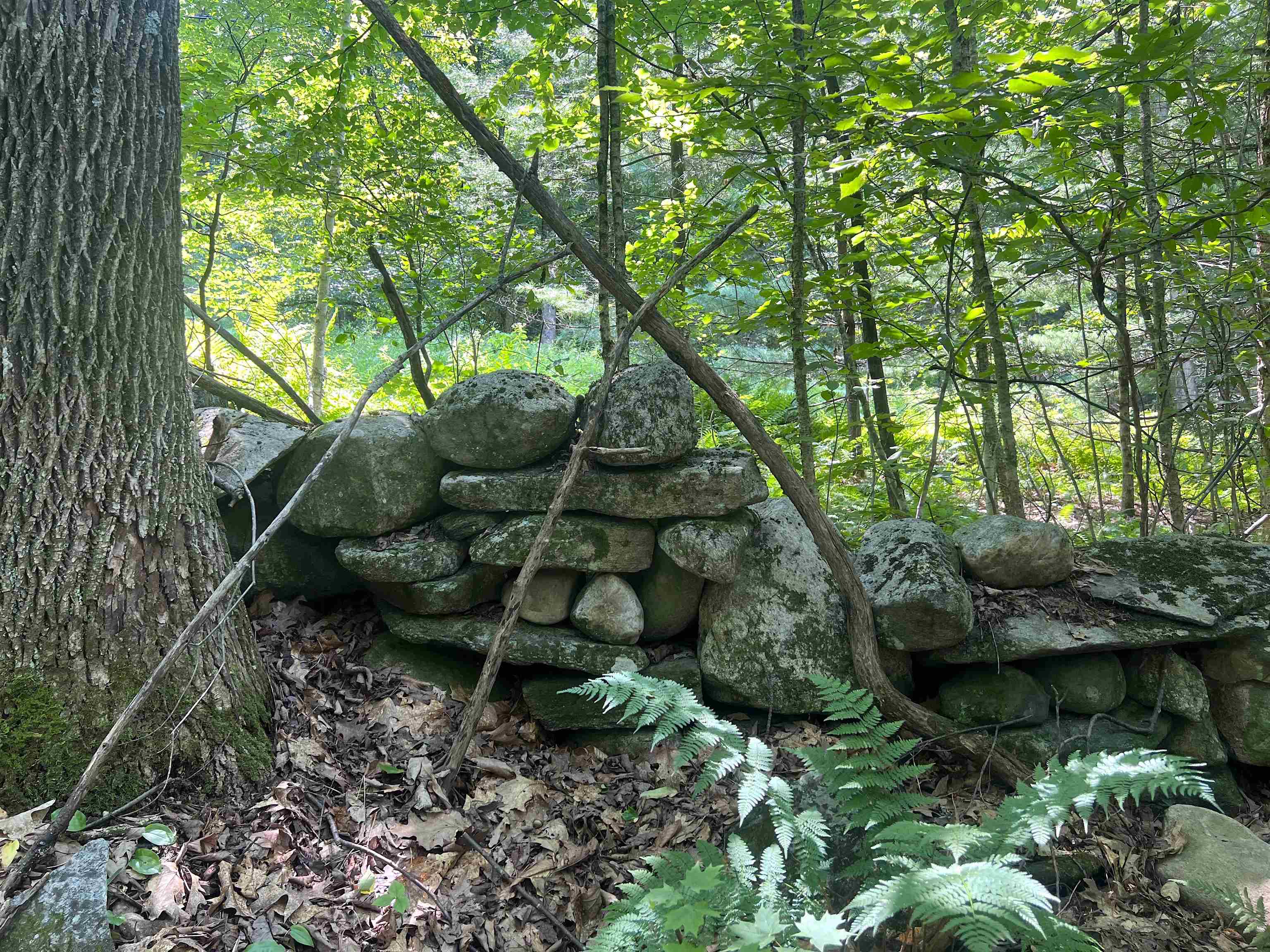 302 Davidson Hill Road Property Photo 41