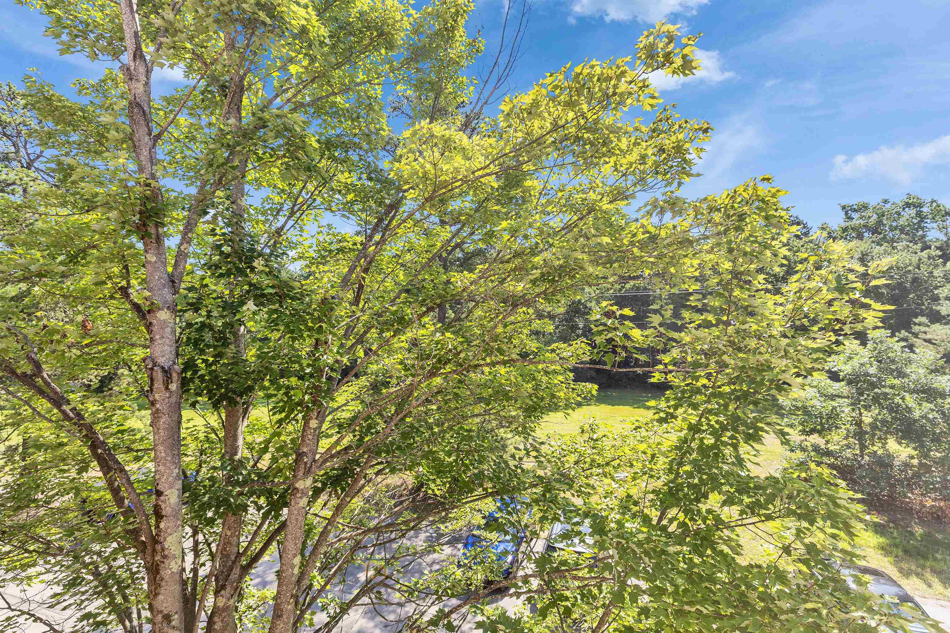 58 Branch Turnpike Property Photo 32