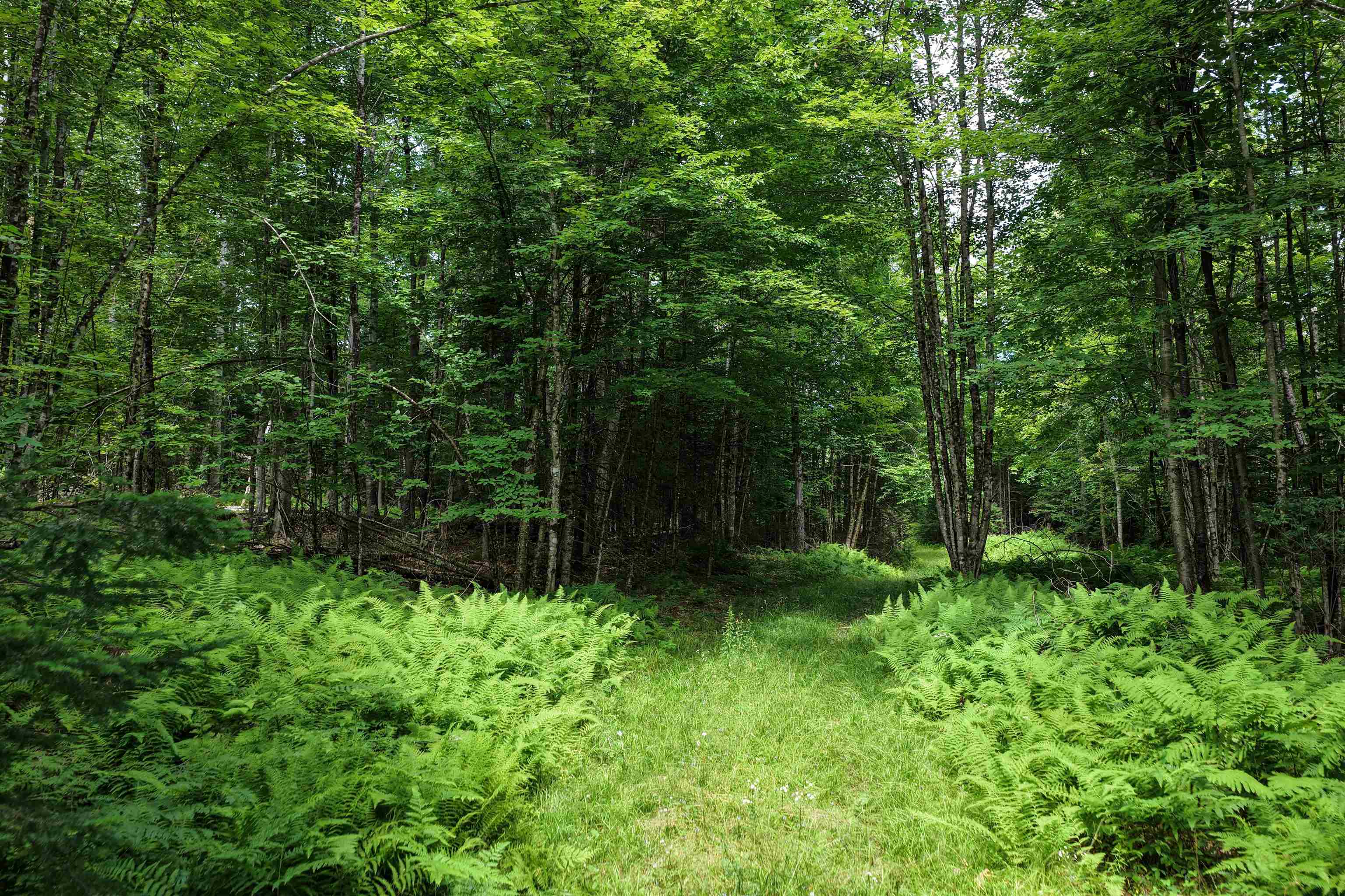 4766 Duck Pond Road Property Photo 2