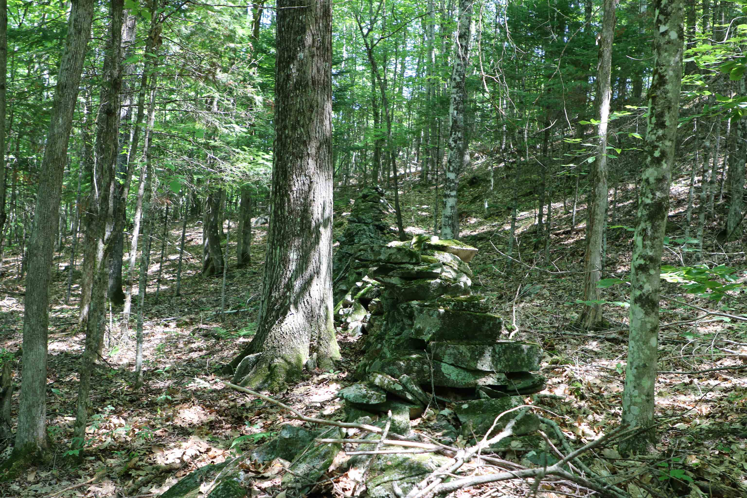 4766 Duck Pond Road Property Photo 3