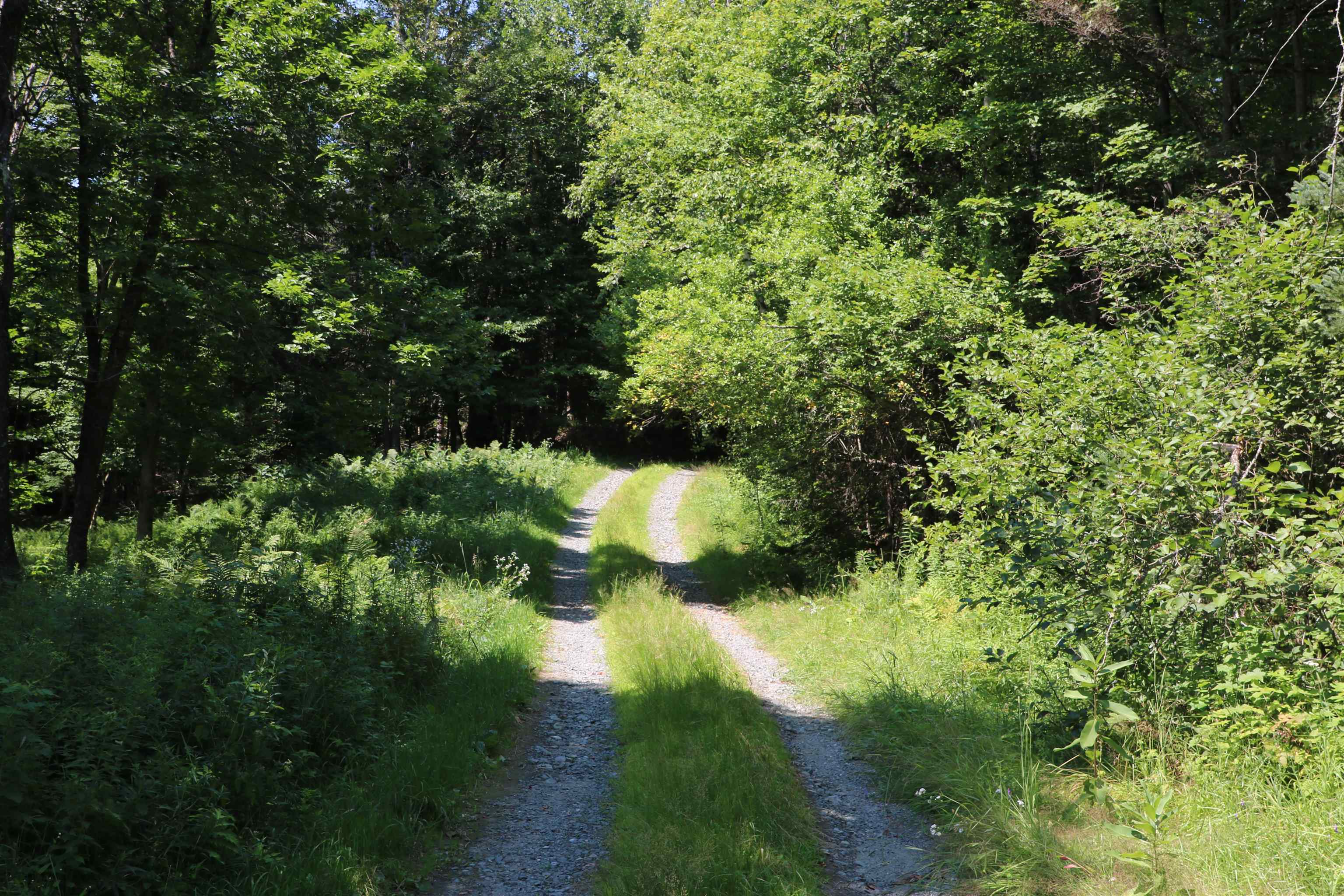 4766 Duck Pond Road Property Photo 5