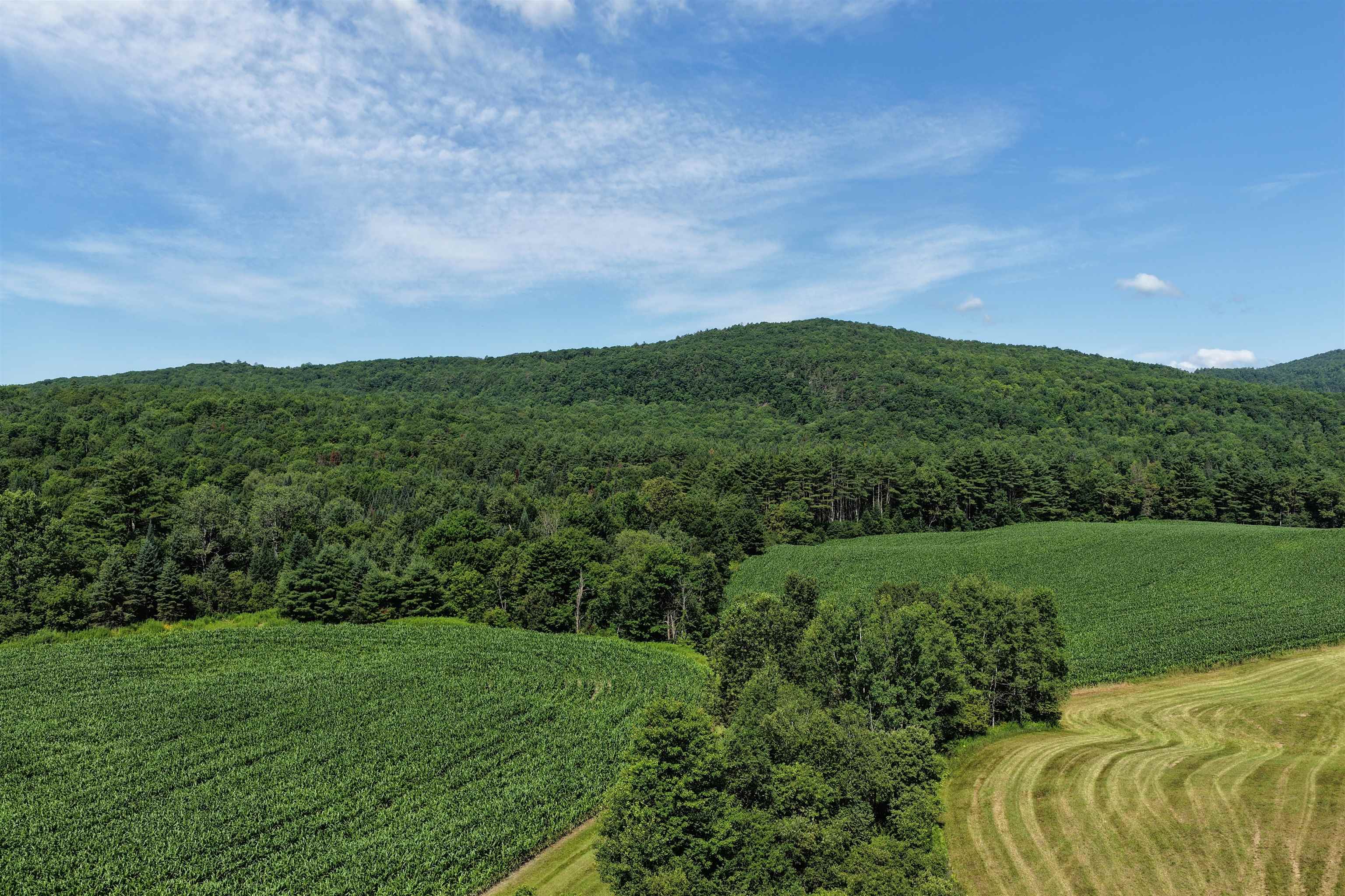 4766 Duck Pond Road Property Photo 6