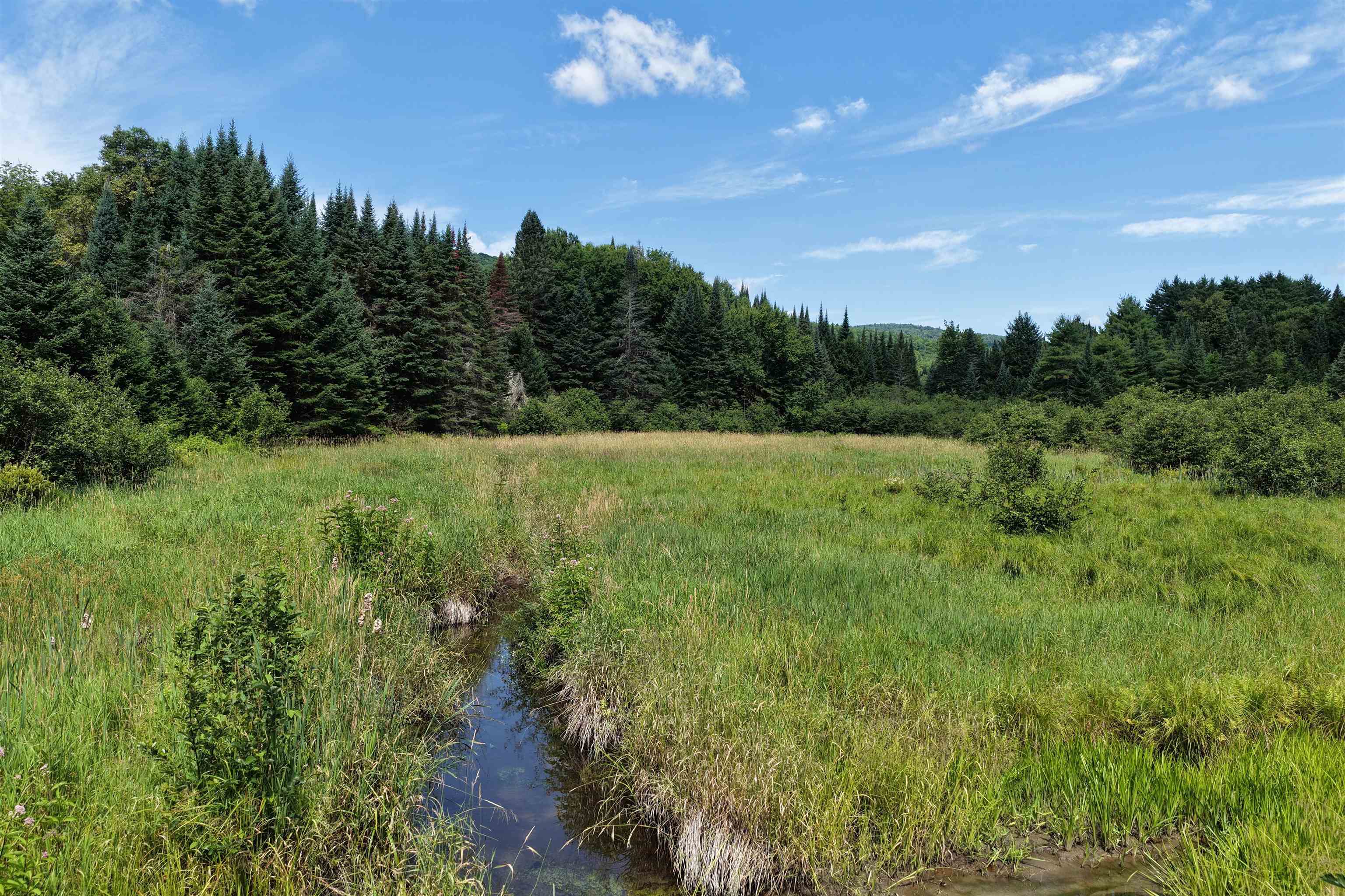 4766 Duck Pond Road Property Photo 8