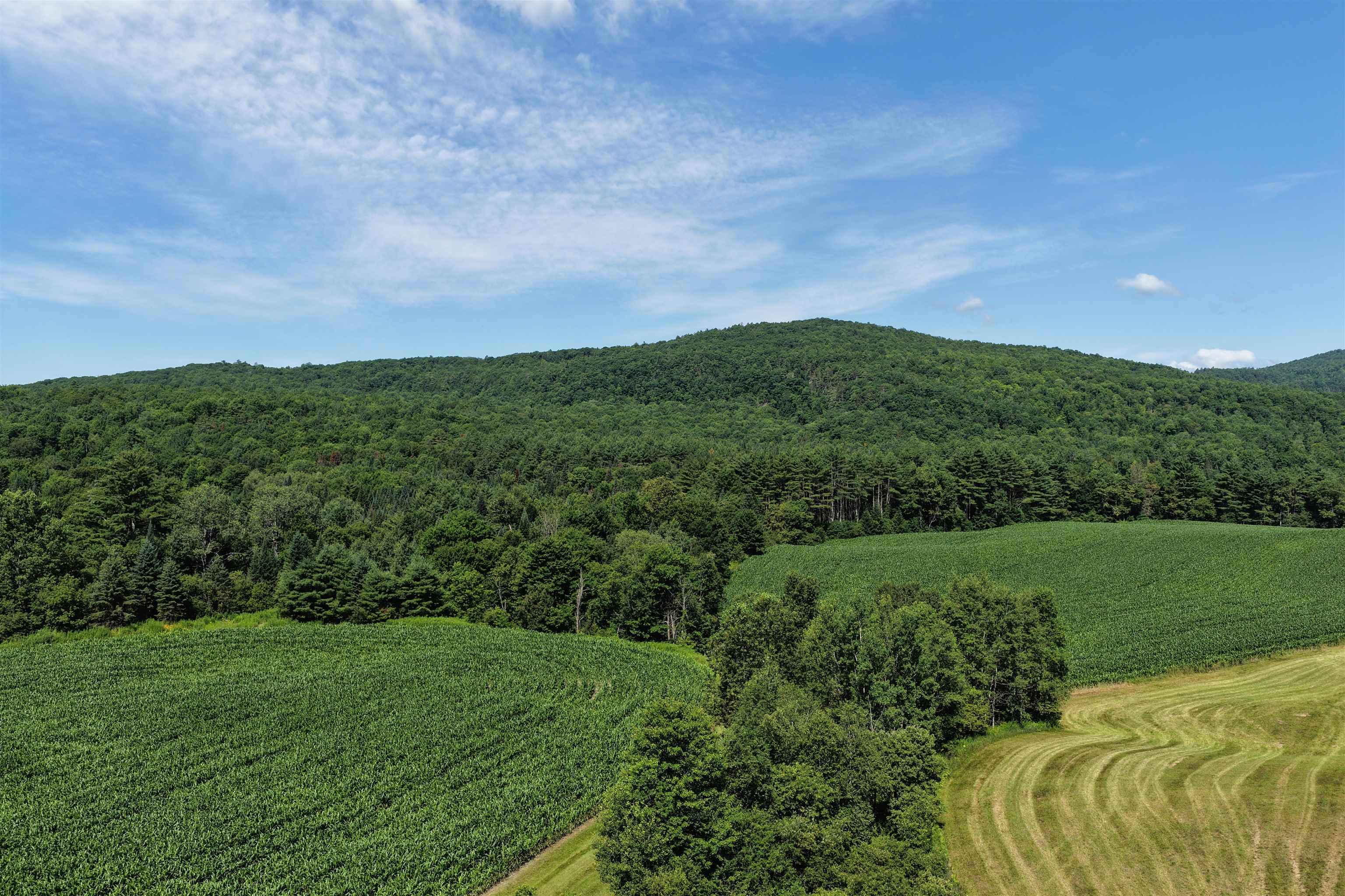 4766 Duck Pond Road Property Photo 10