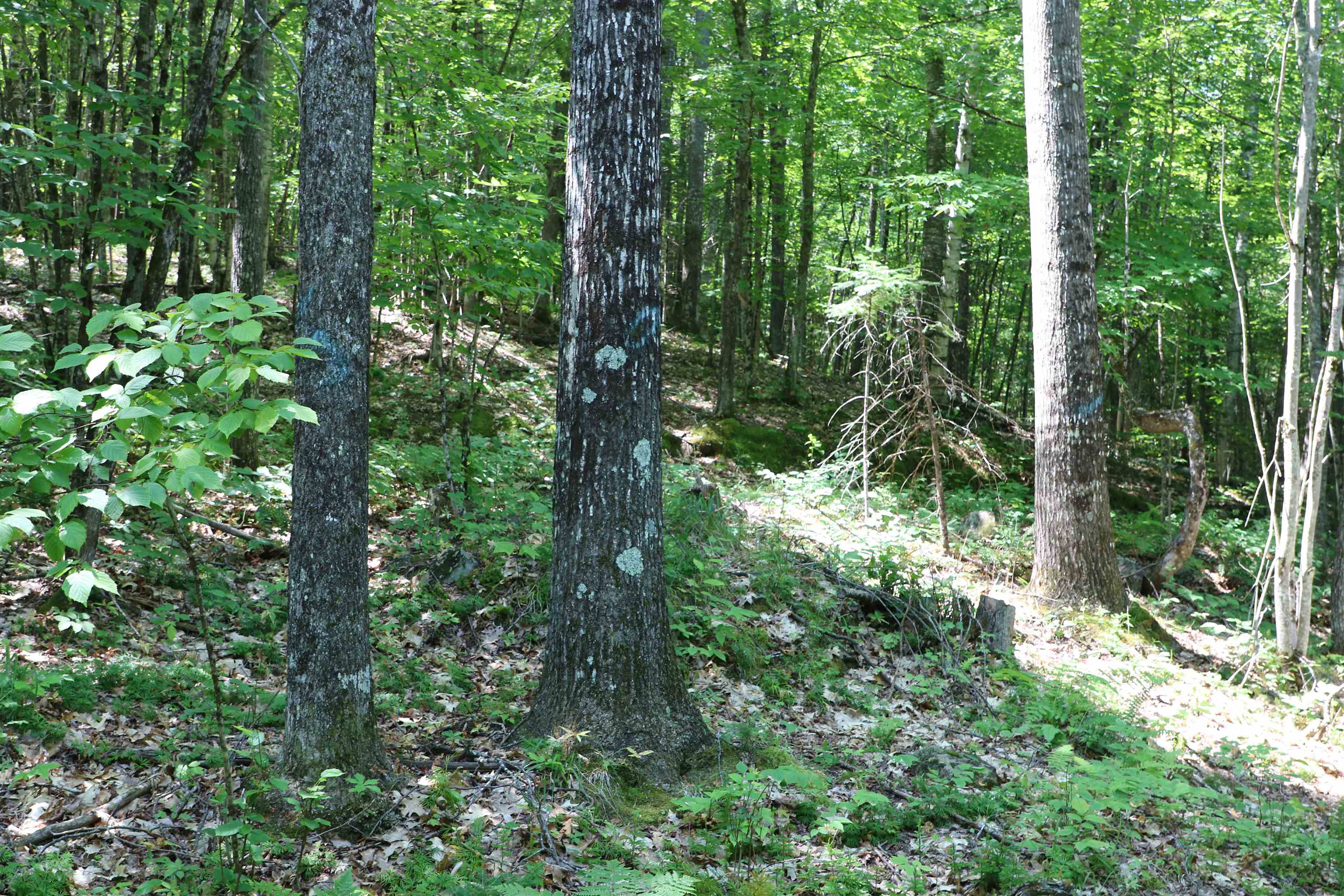 4766 Duck Pond Road Property Photo 11