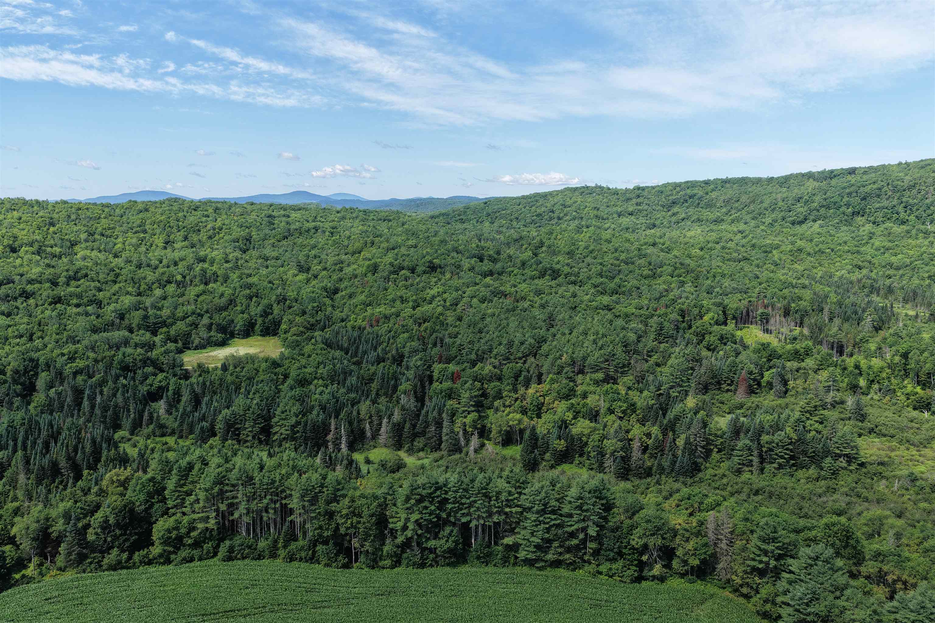 4766 Duck Pond Road Property Photo 12