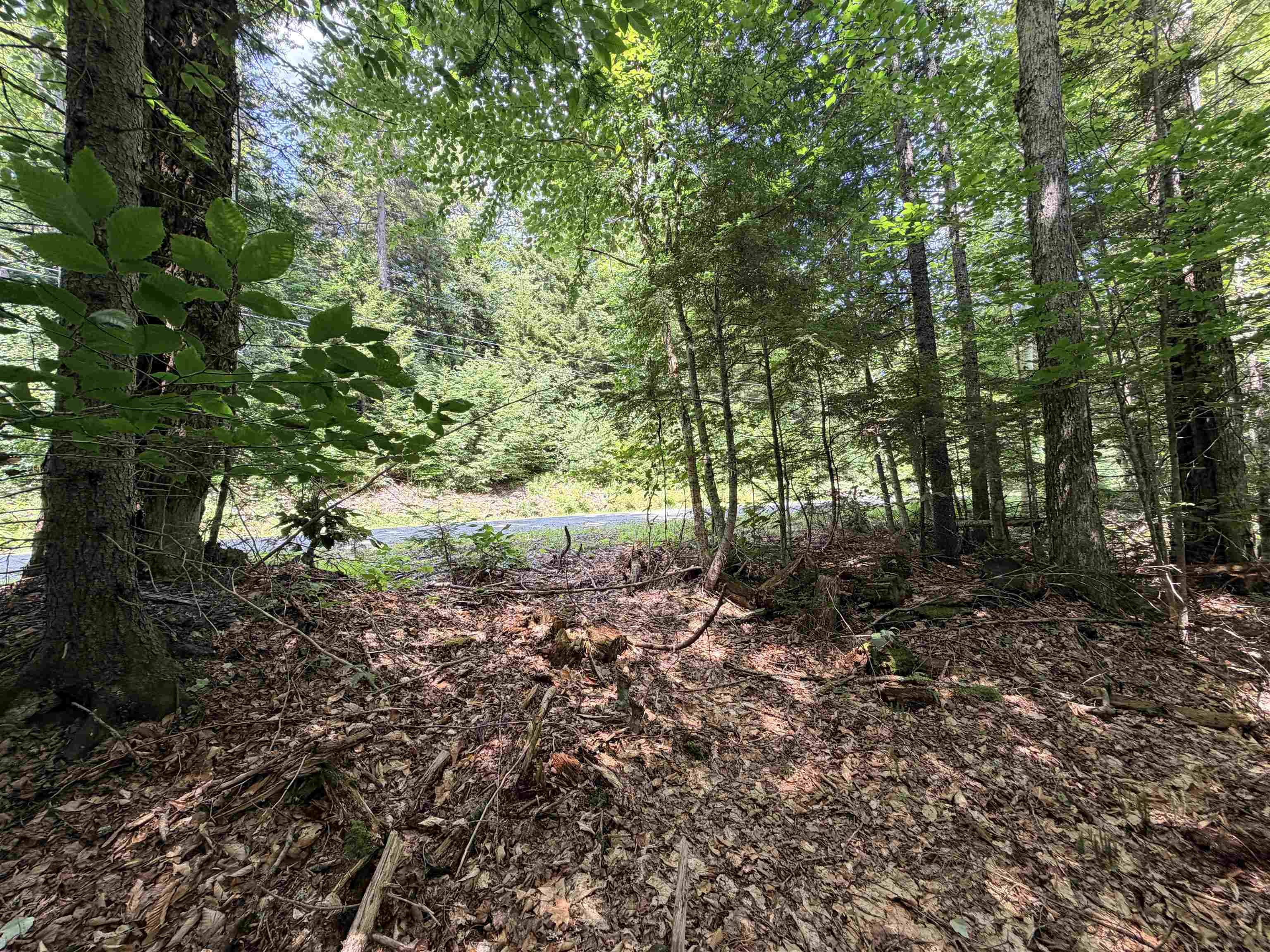 56 & 57 Boardman Loop Property Photo 1