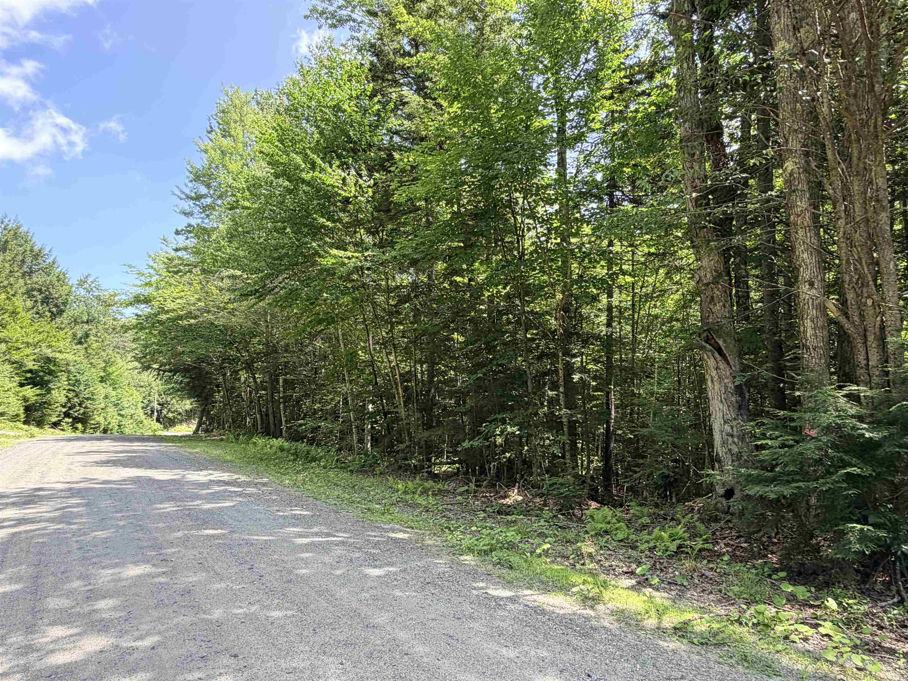 56 & 57 Boardman Loop Property Photo 2