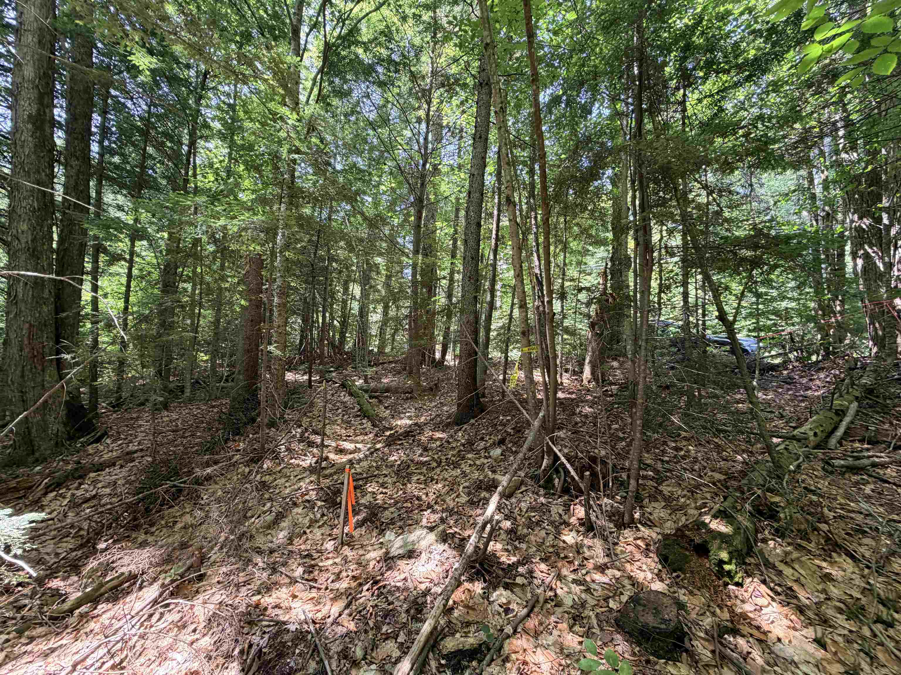 56 & 57 Boardman Loop Property Photo 5