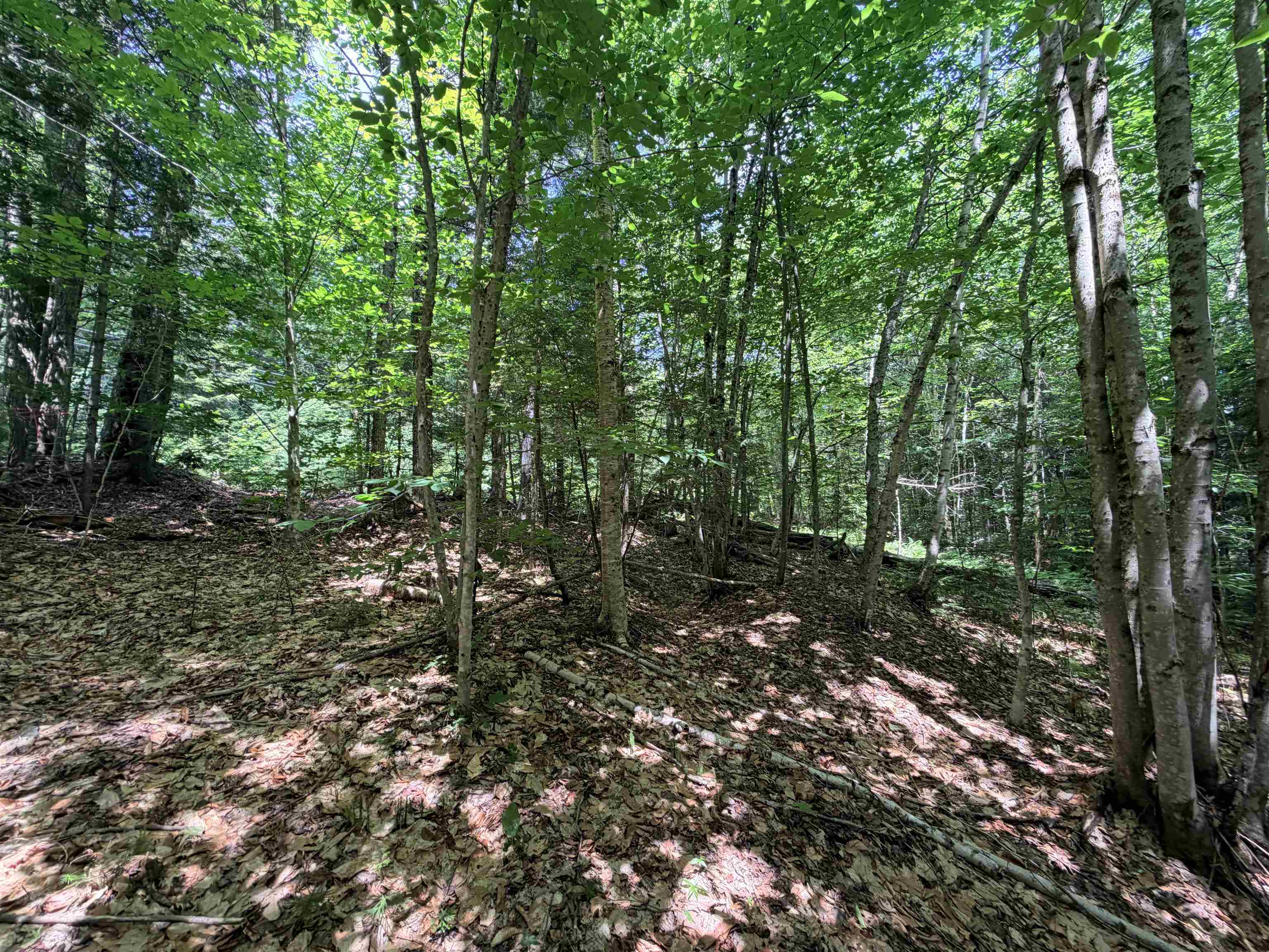 56 & 57 Boardman Loop Property Photo 6