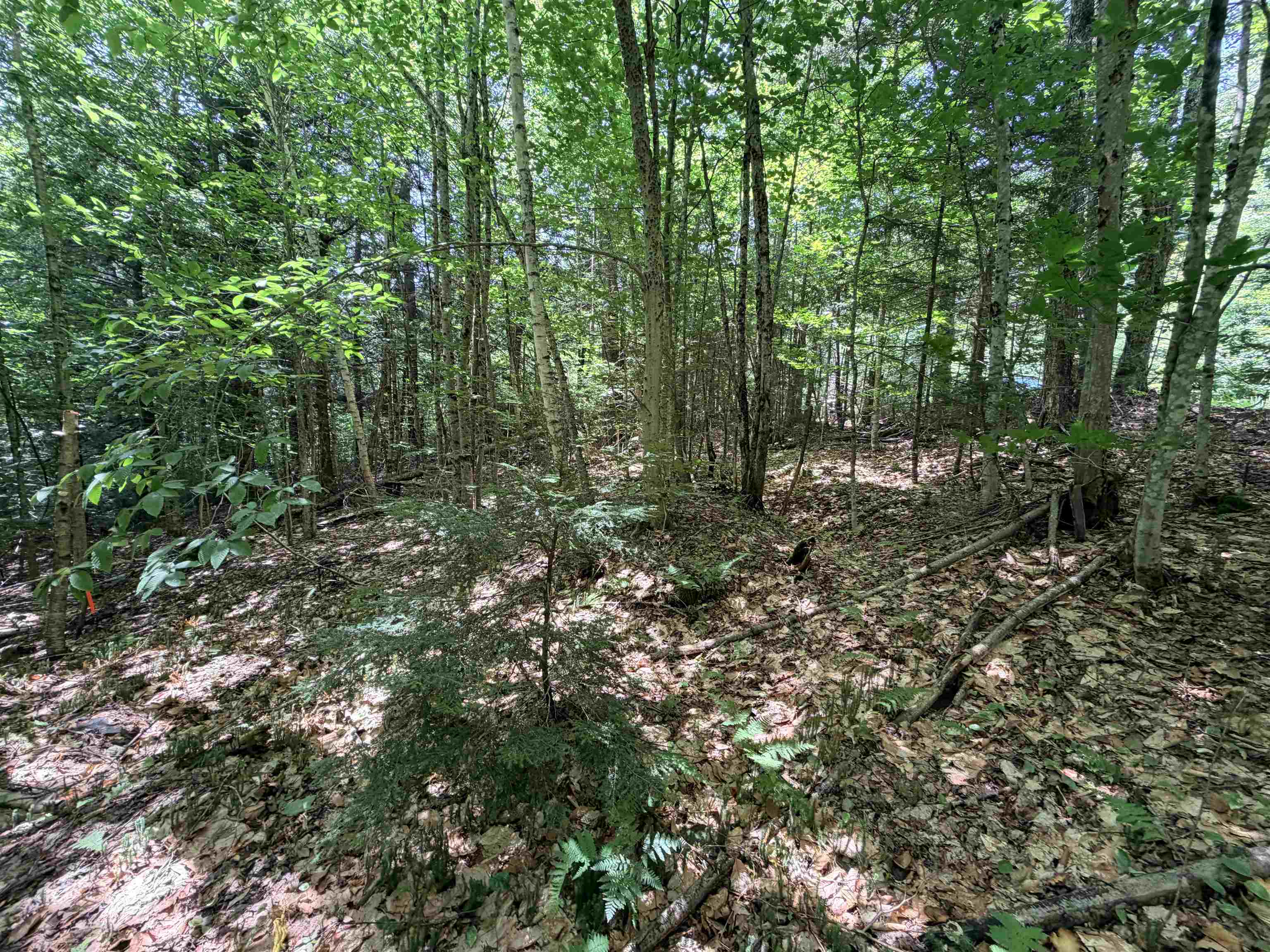 56 & 57 Boardman Loop Property Photo 7