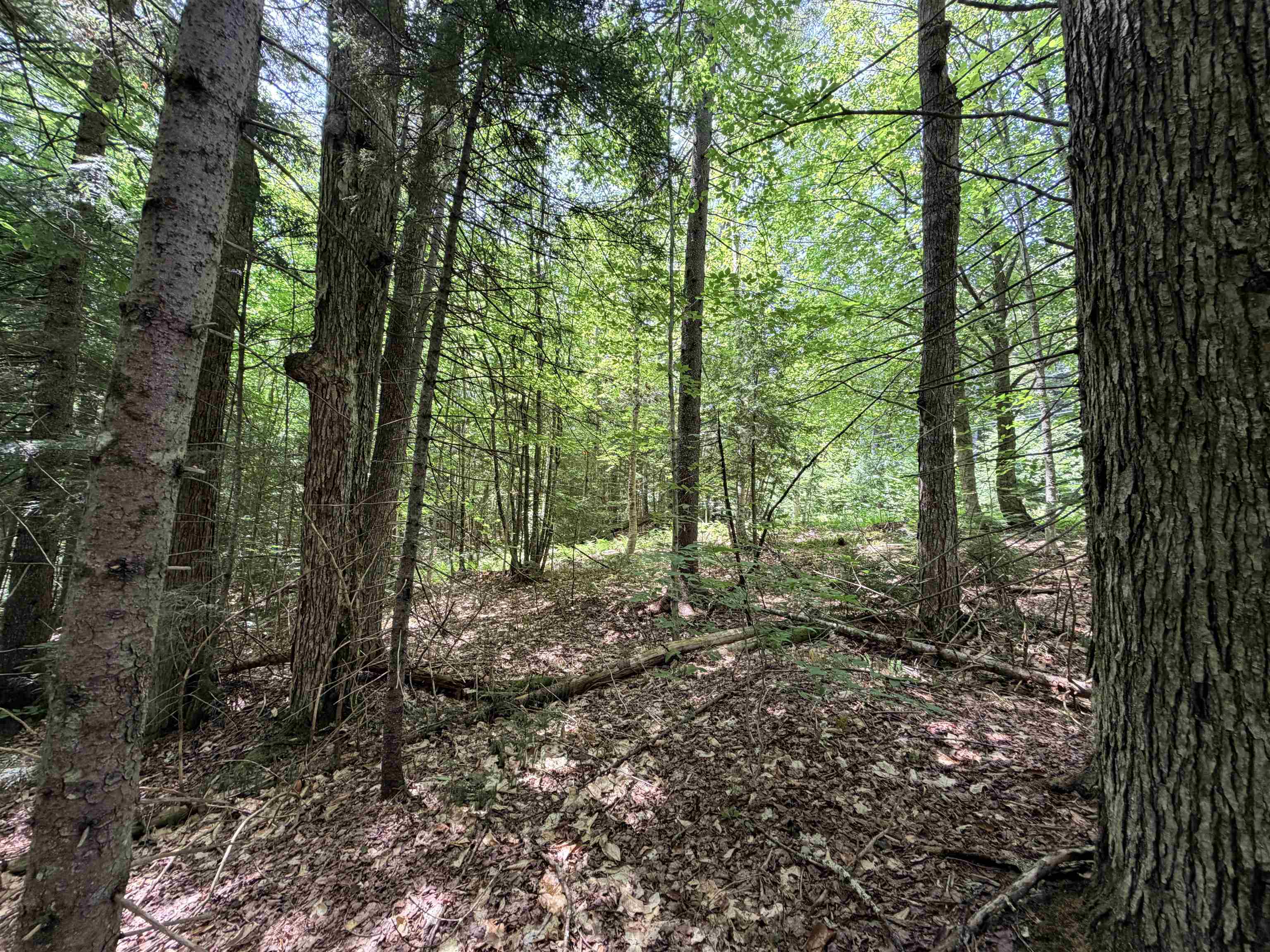 56 & 57 Boardman Loop Property Photo 8