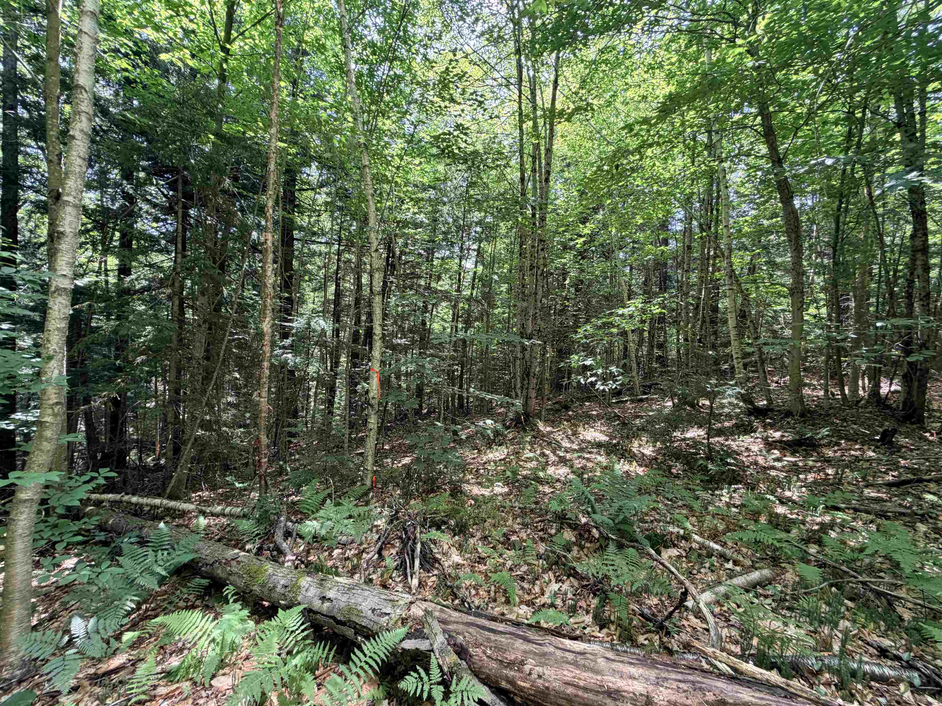 56 & 57 Boardman Loop Property Photo 10