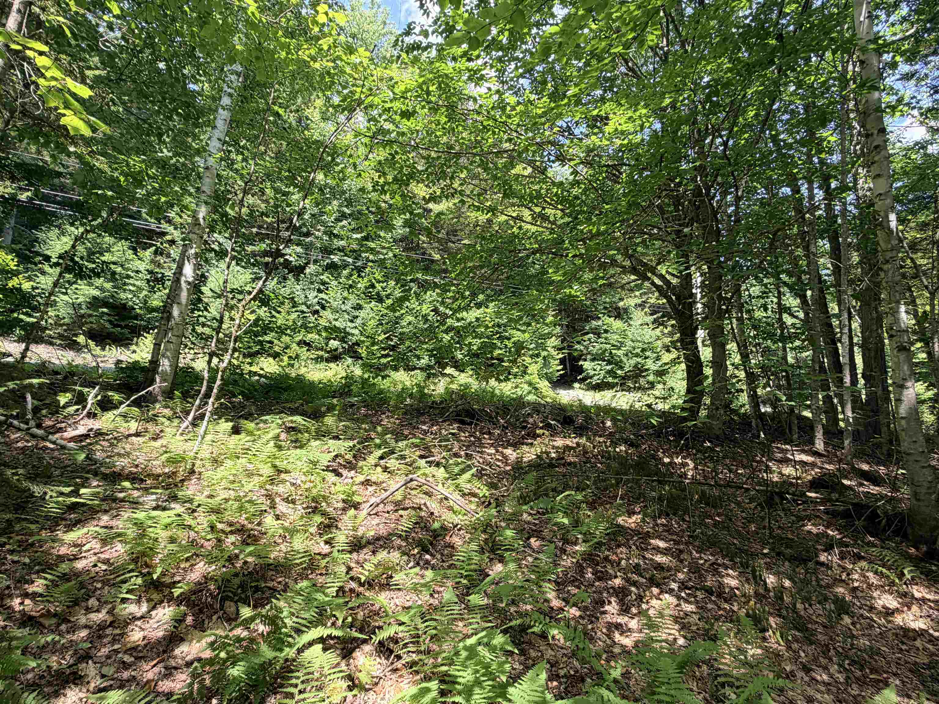 56 & 57 Boardman Loop Property Photo 11