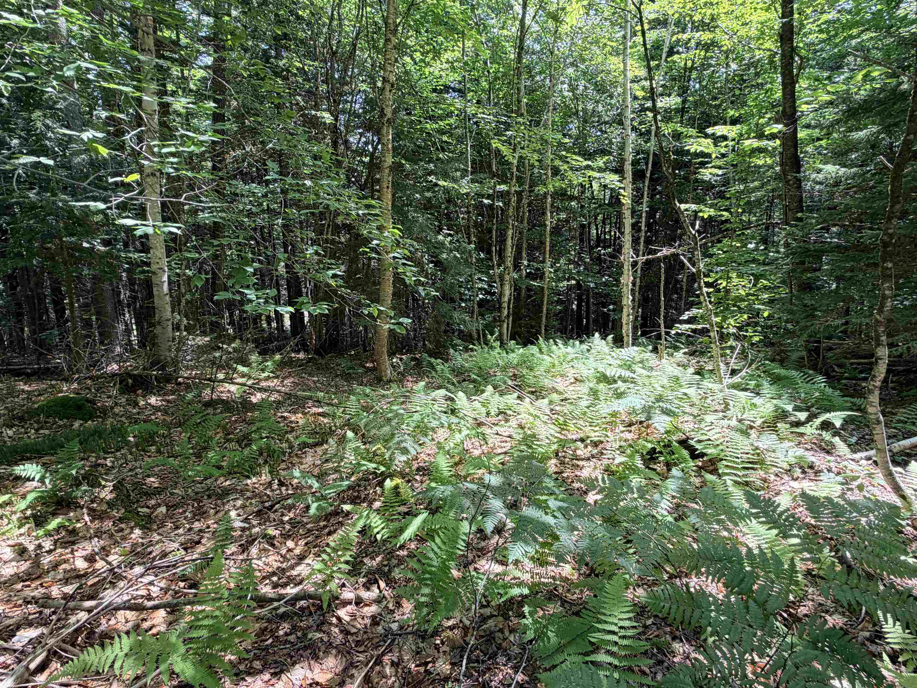 56 & 57 Boardman Loop Property Photo 12