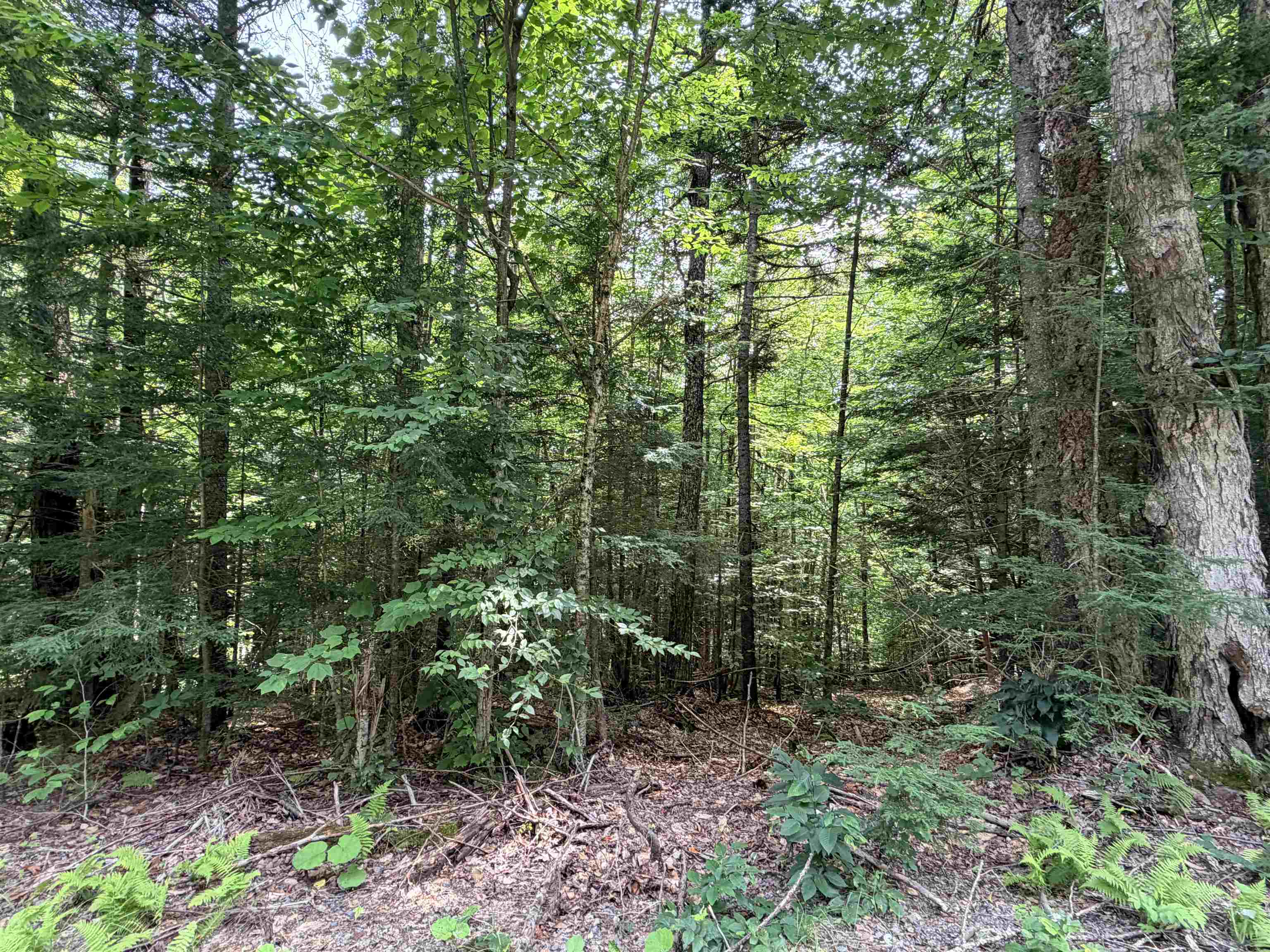 56 & 57 Boardman Loop Property Photo 13