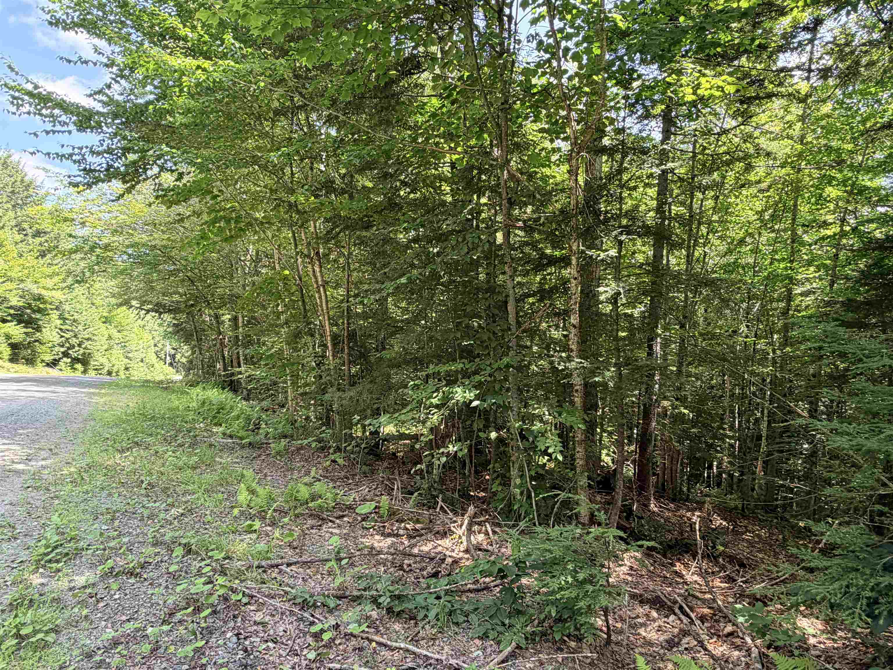 56 & 57 Boardman Loop Property Photo 14