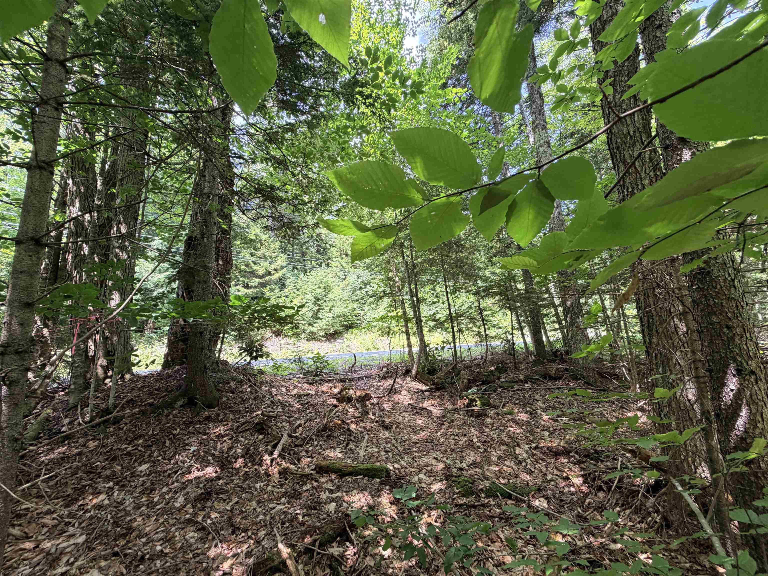 56 & 57 Boardman Loop Property Photo 15