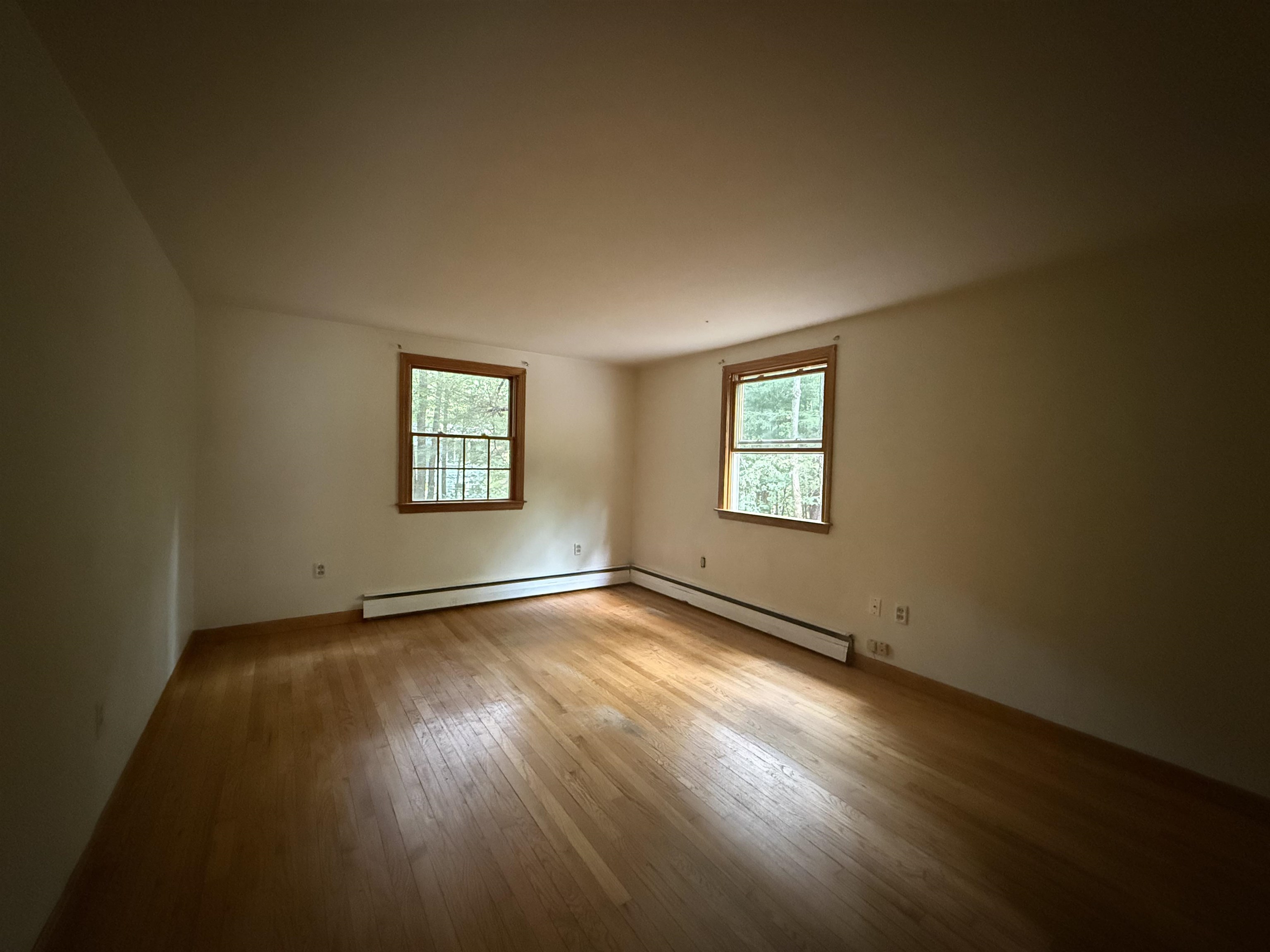 41 Henderson Road Property Photo 9