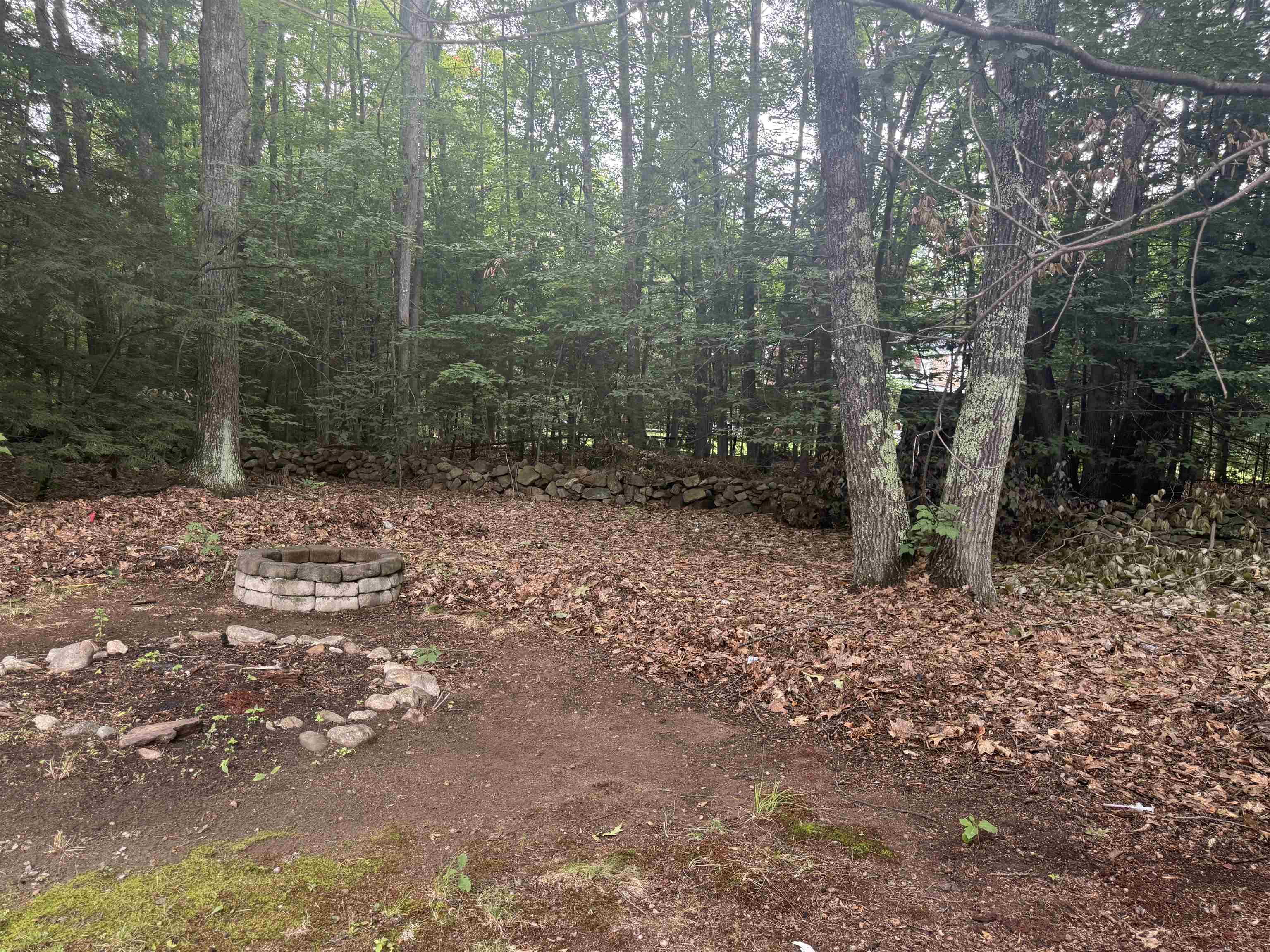 41 Henderson Road Property Photo 16