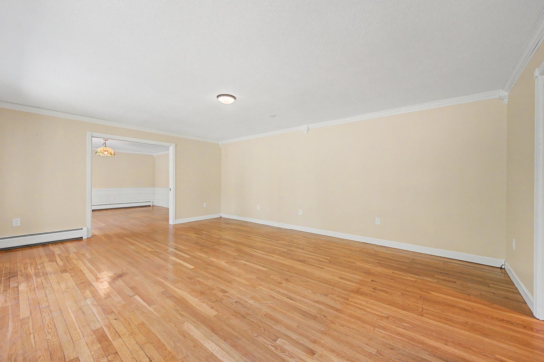 53 Elkins Road Property Photo 28