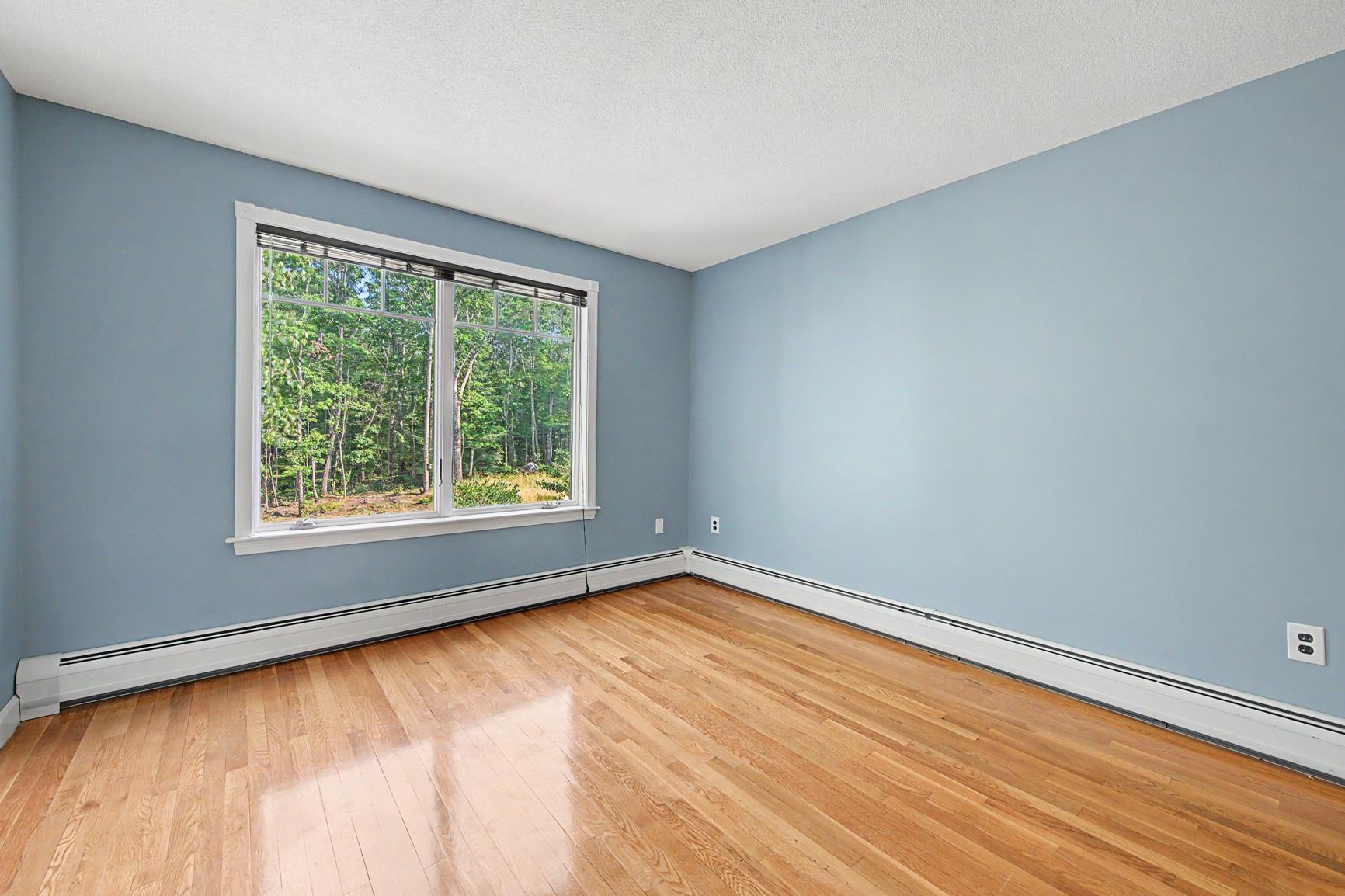 53 Elkins Road Property Photo 34