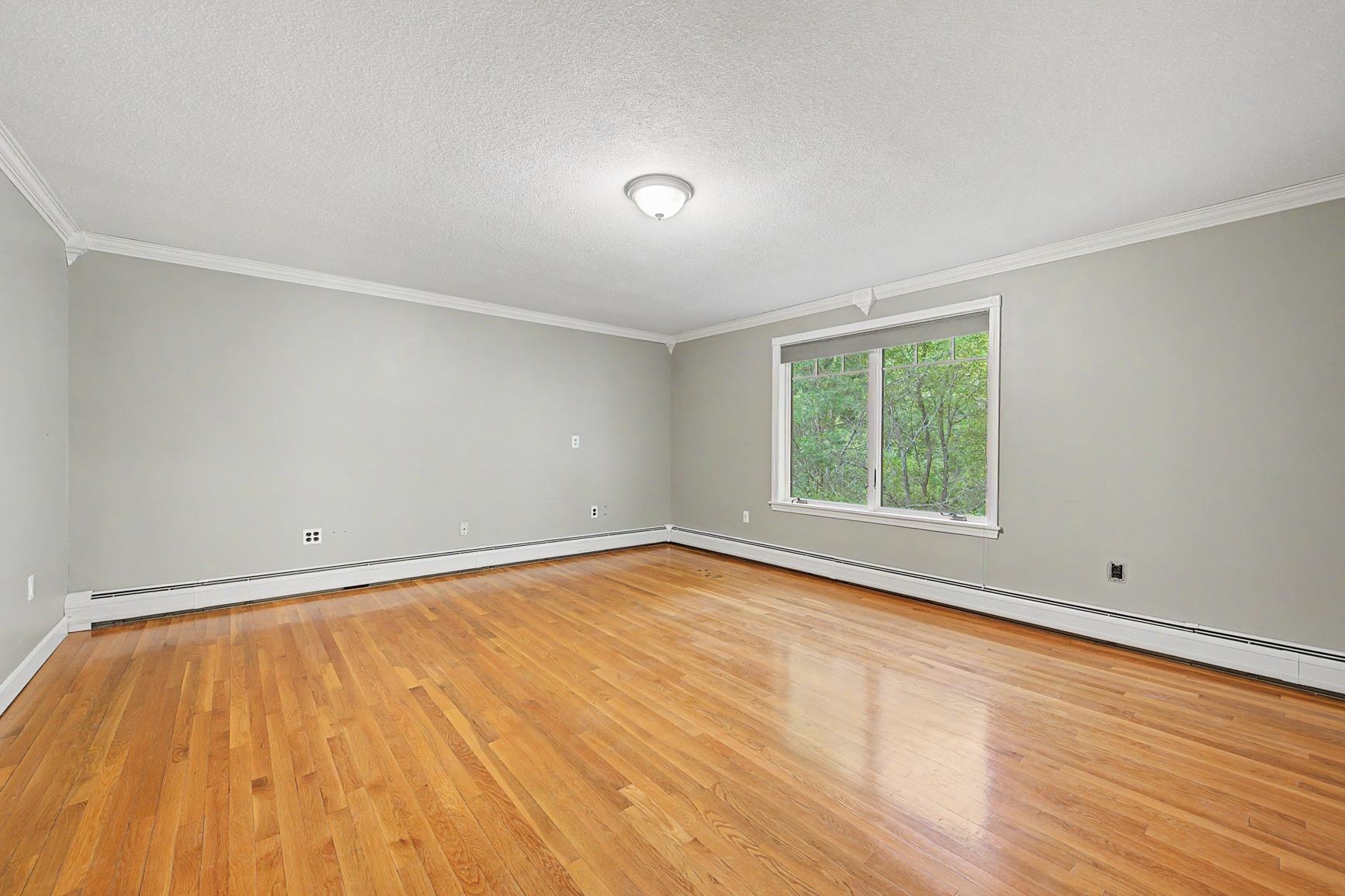 53 Elkins Road Property Photo 38