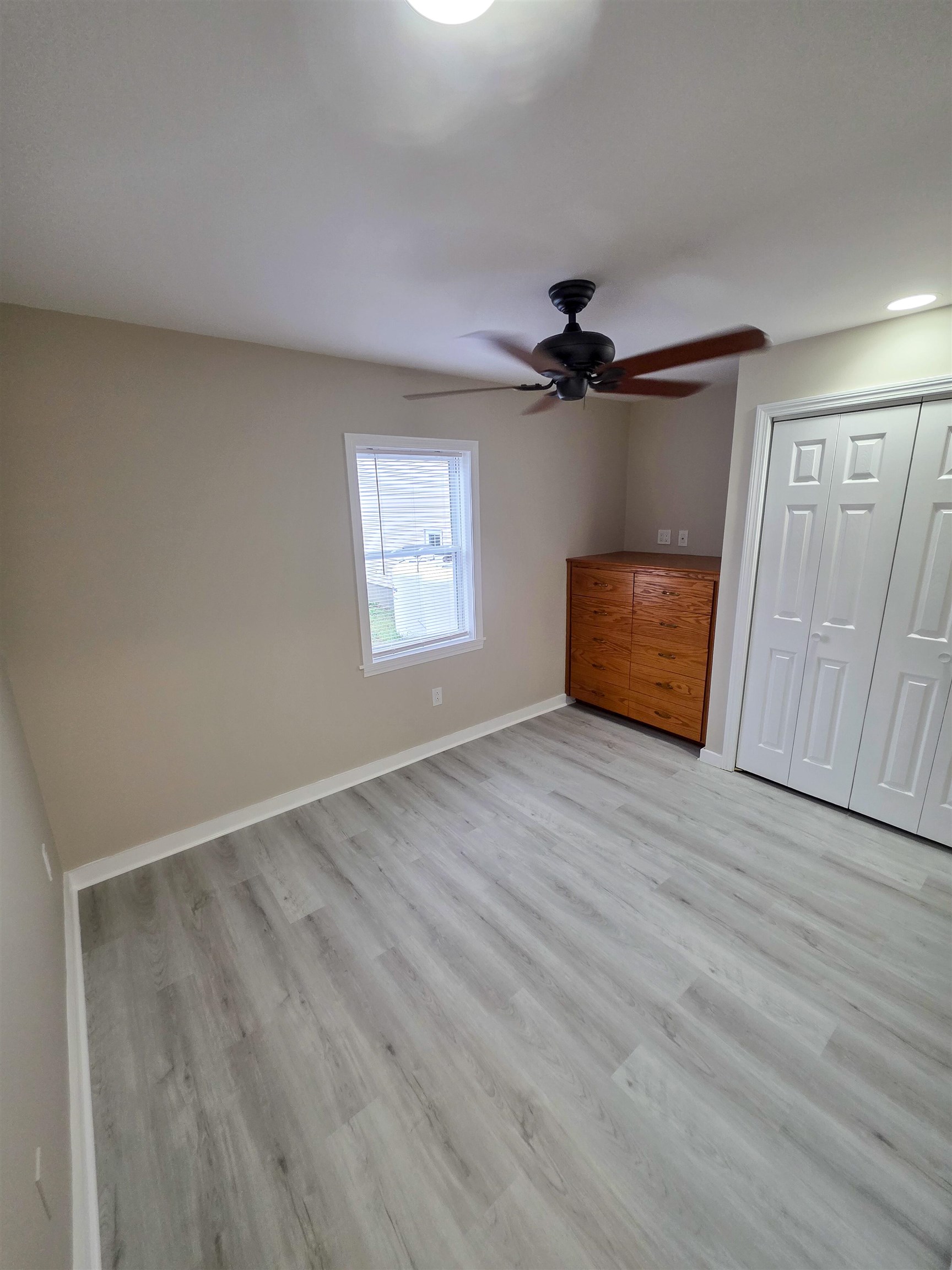 52 Jarvis Street Property Photo 8