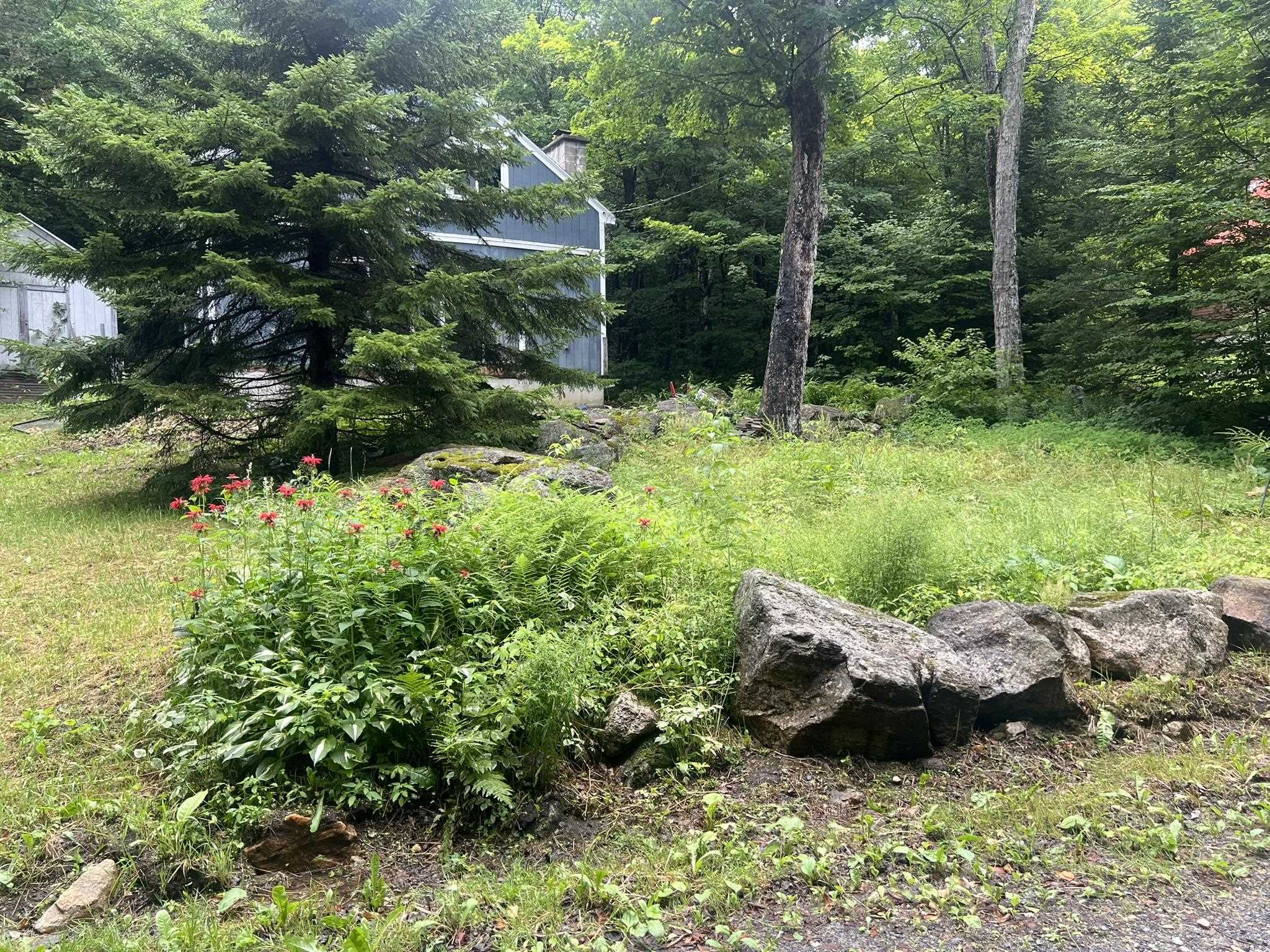 207 Sycamore Road Property Photo 2