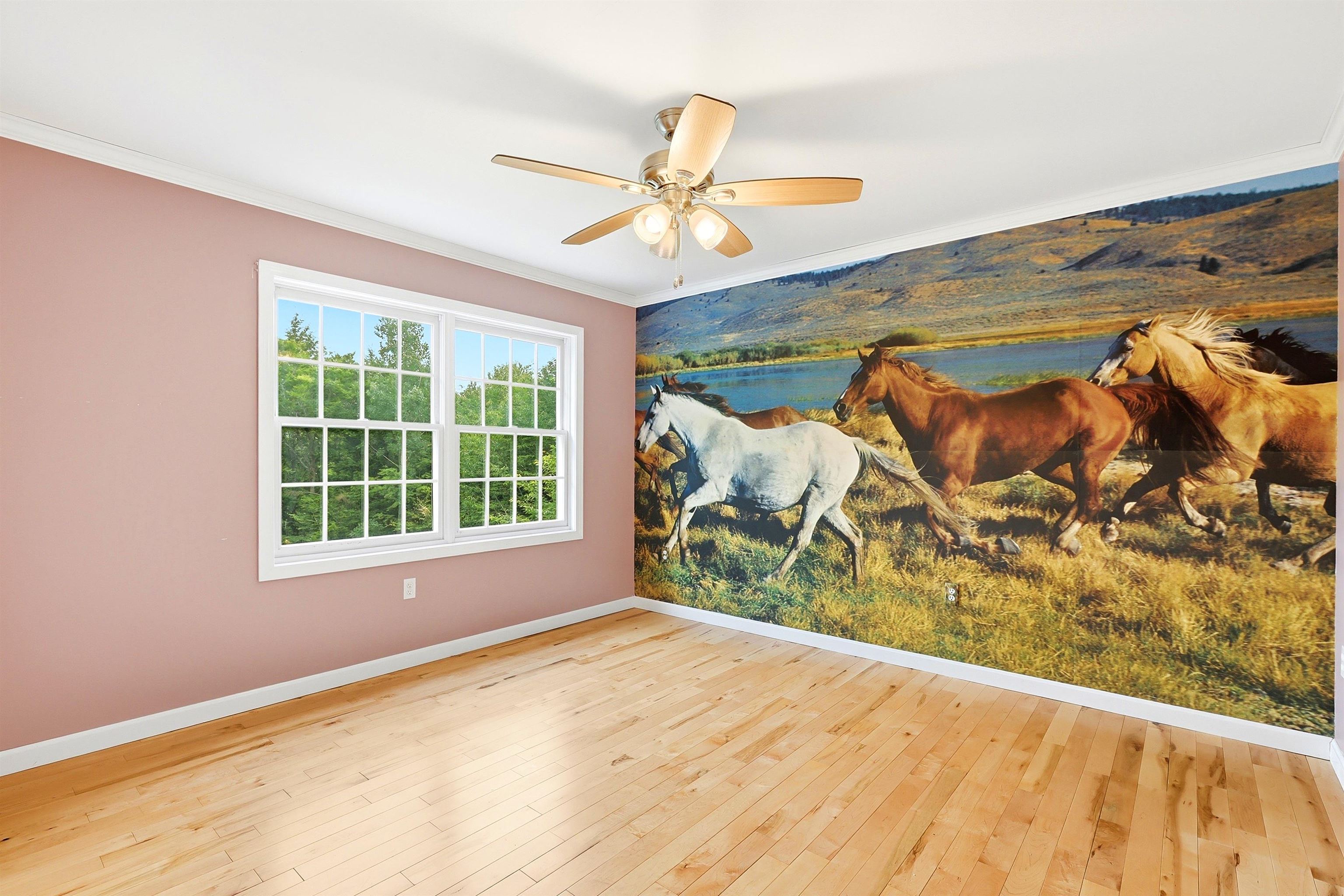 97 Onset Road Property Photo 29