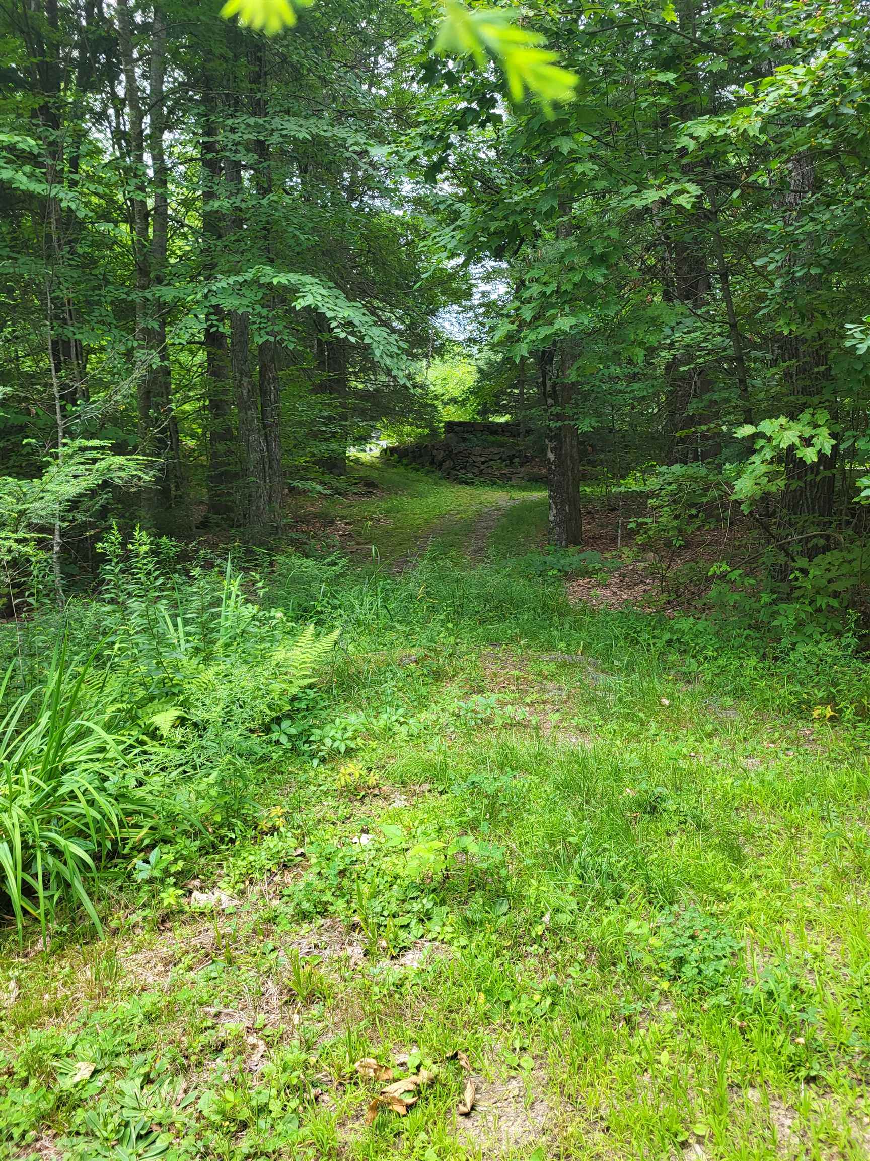 97 Onset Road Property Photo 53