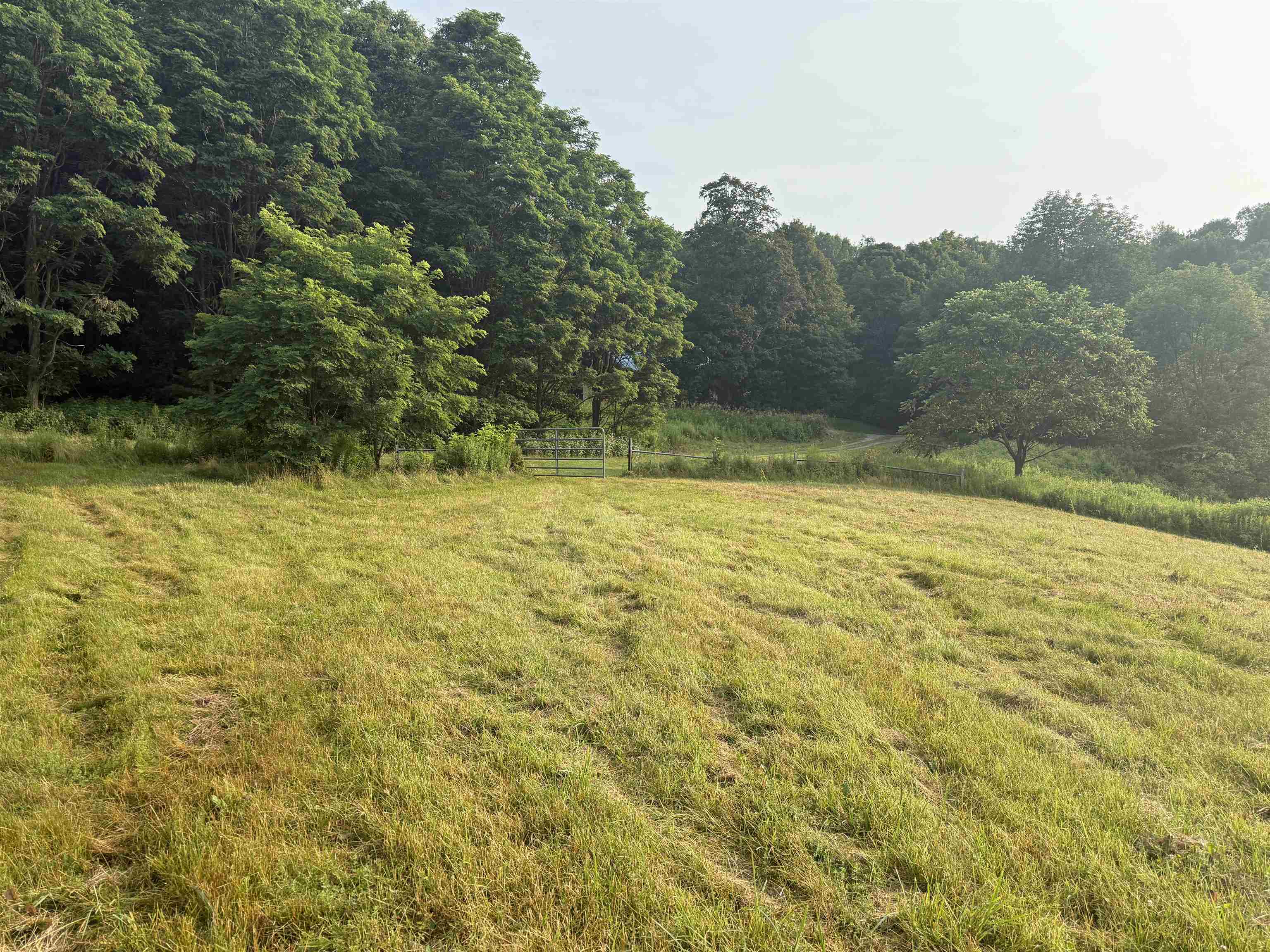 31 South Hollow Road Property Photo 49