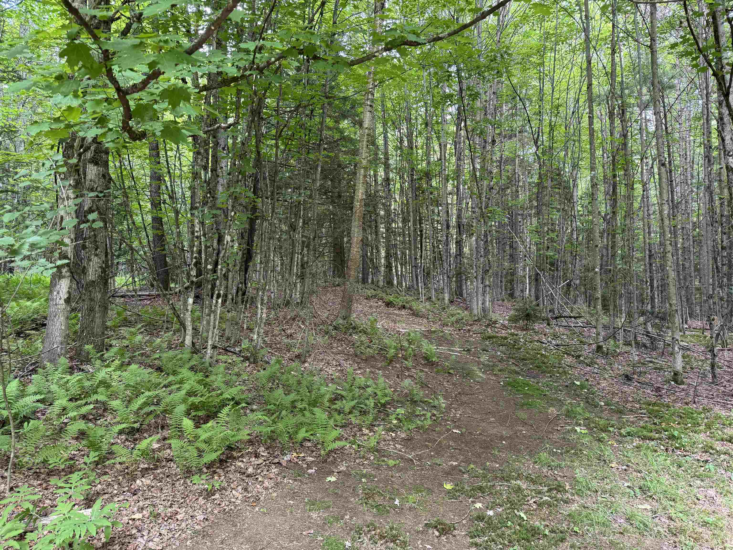Tbd Richard Woolcutt Road Property Photo 15